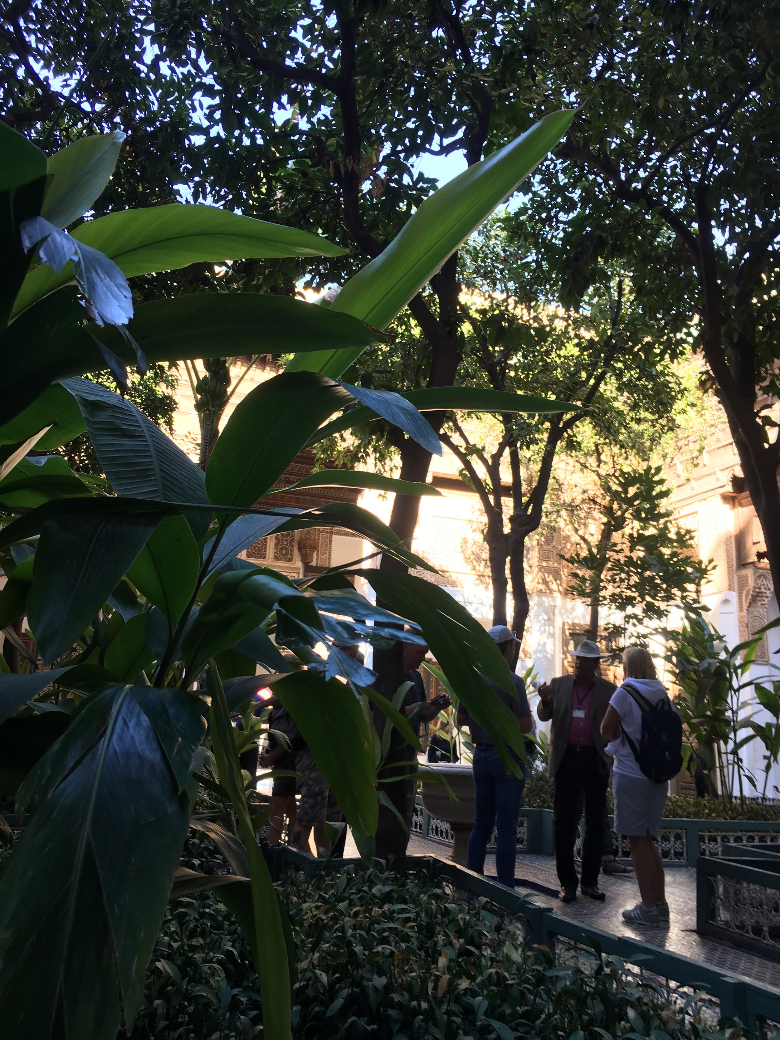 IMG_3198.jpeg