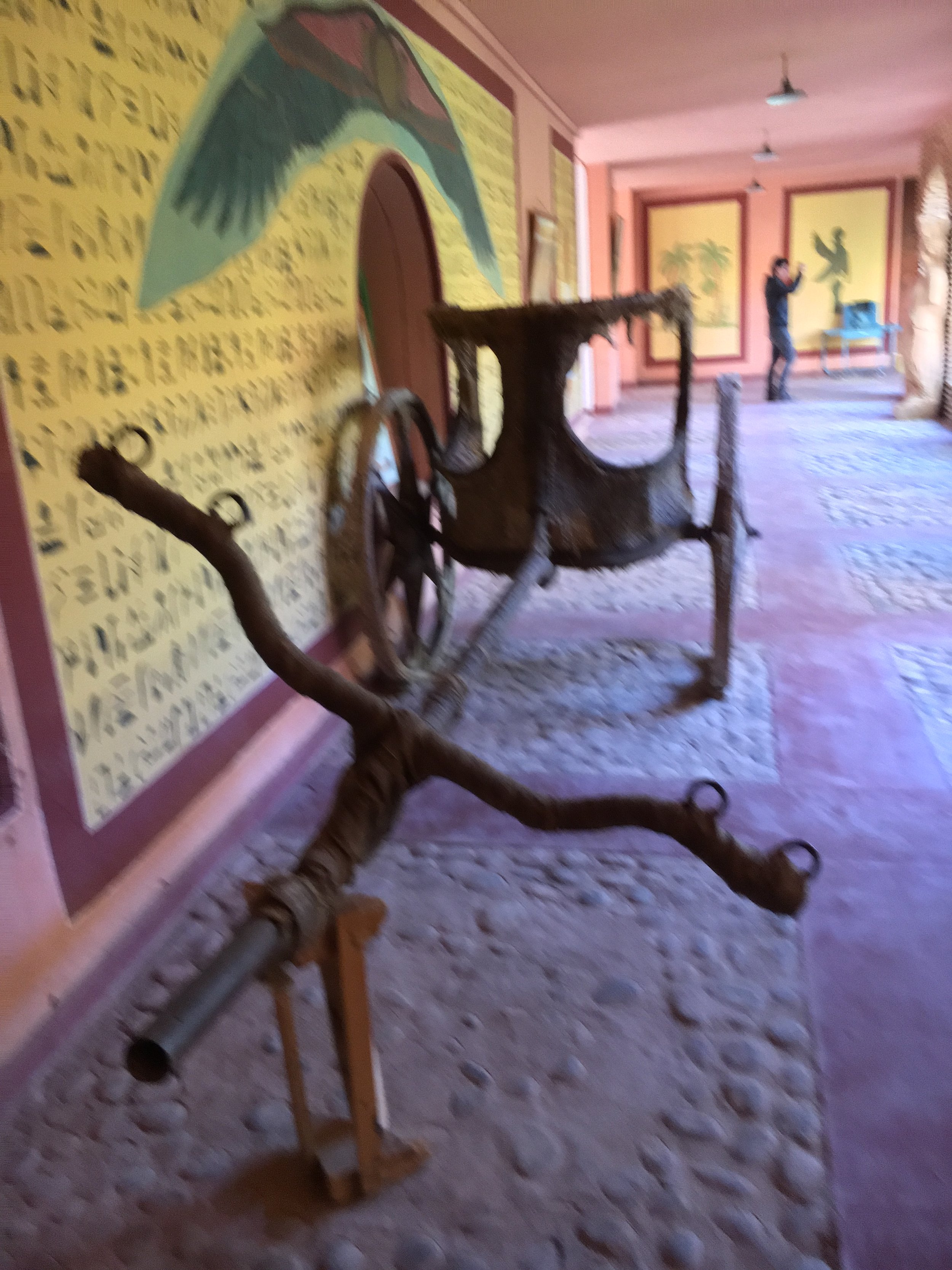IMG_3326.jpeg