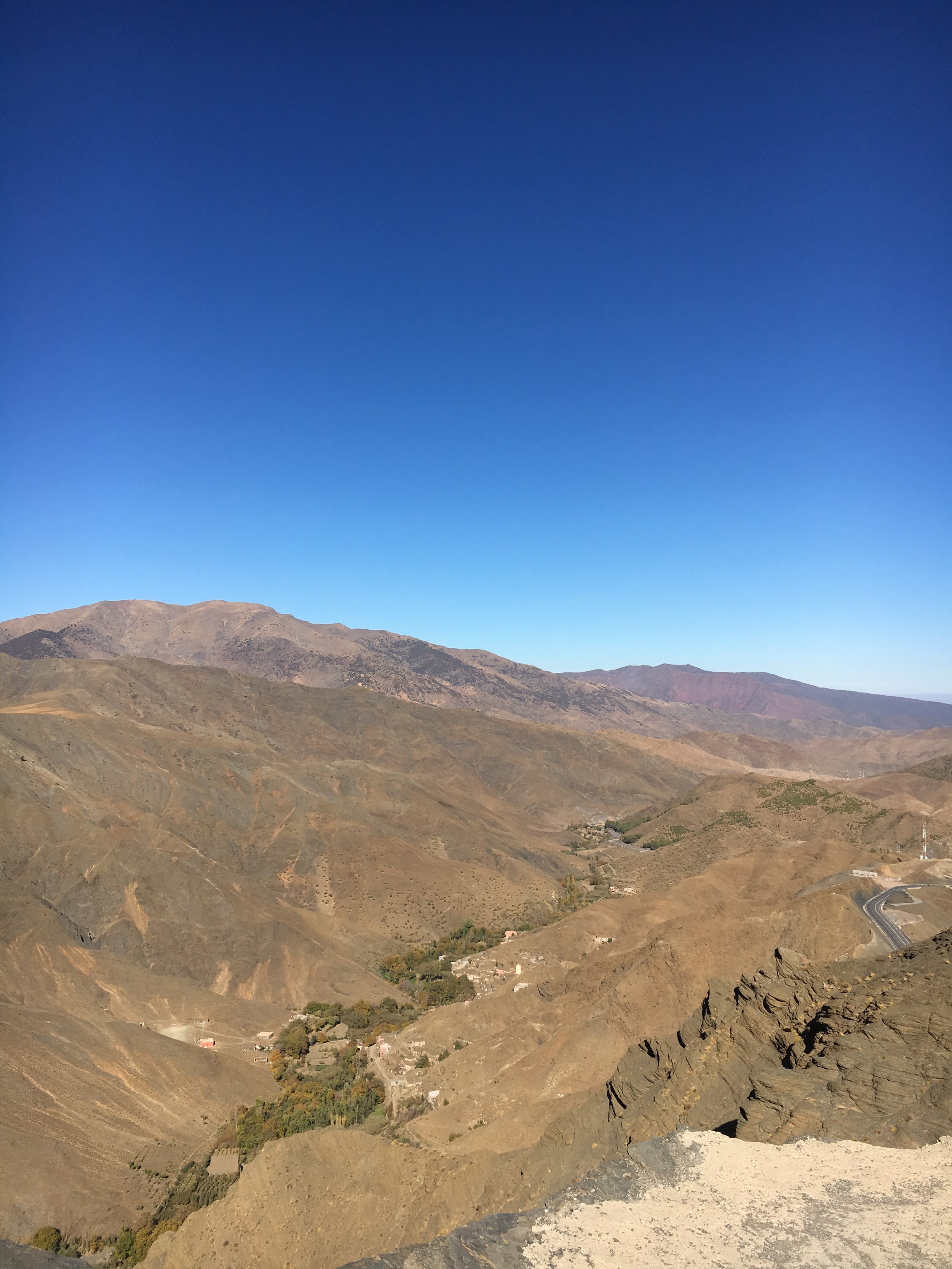 IMG_3272.jpeg