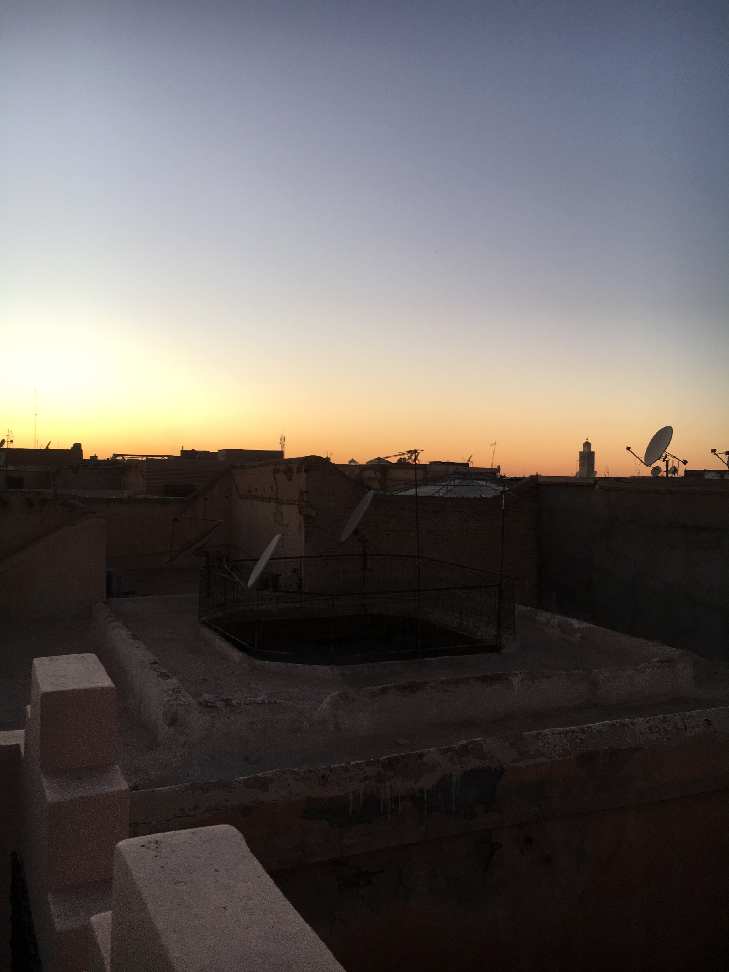 IMG_3151.jpeg