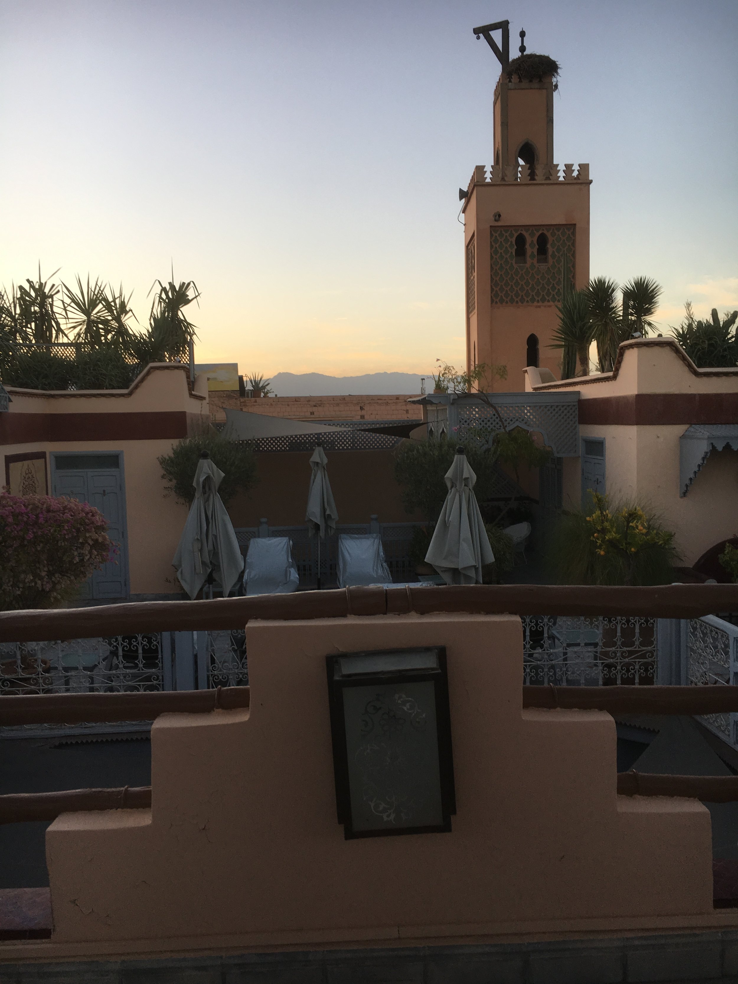 IMG_3452.jpeg