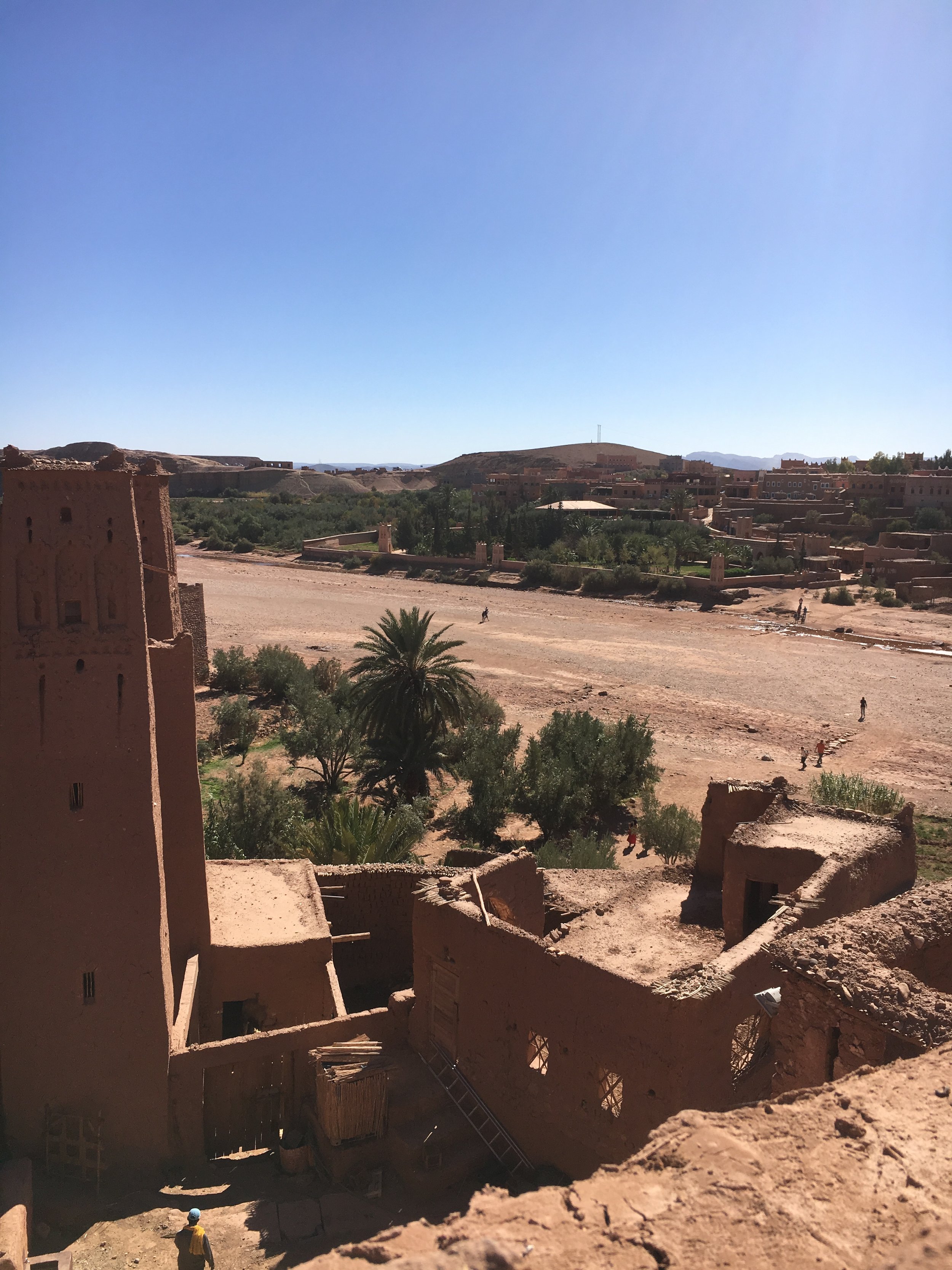 IMG_3298.jpeg
