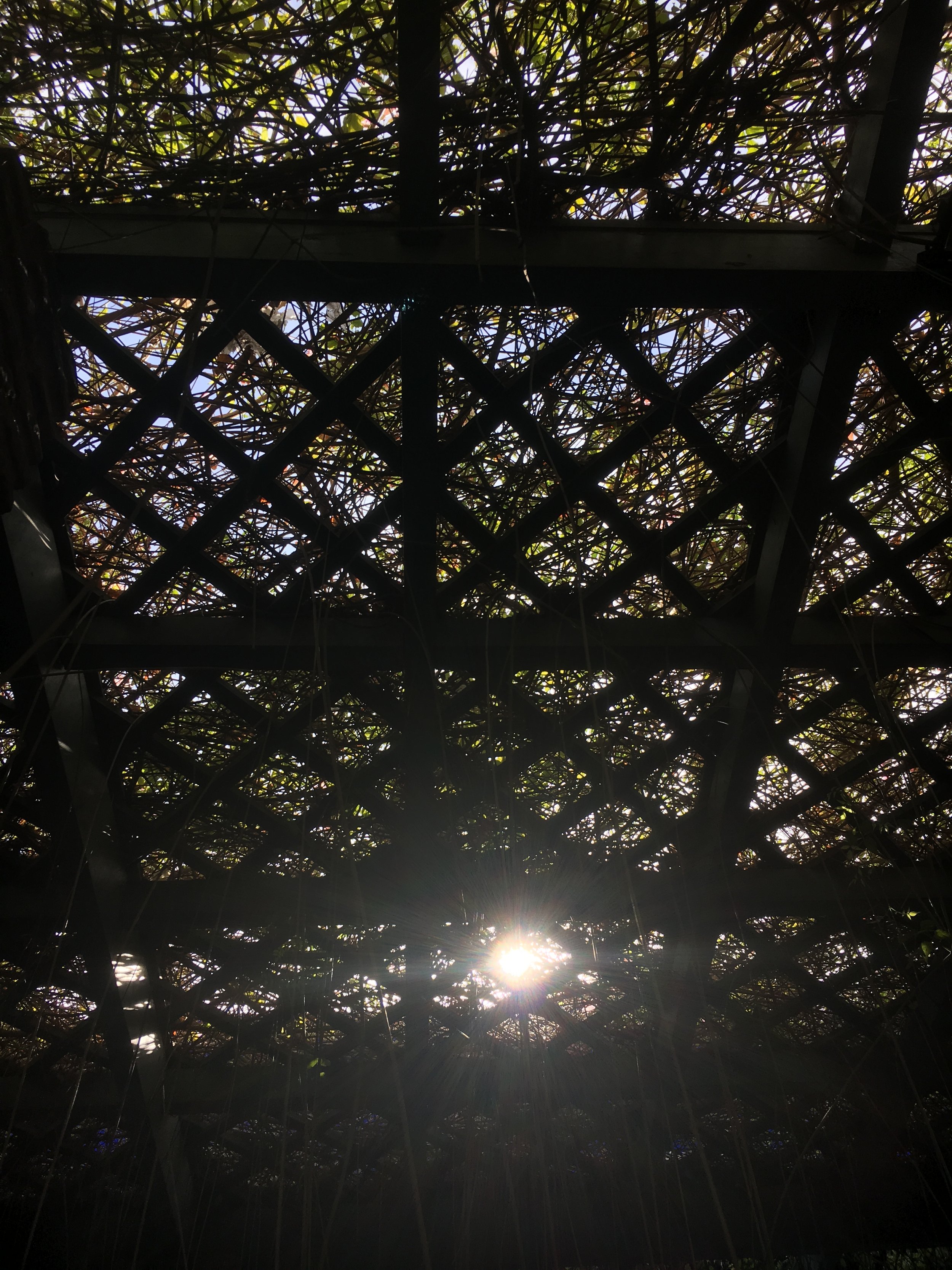 IMG_3415.jpeg