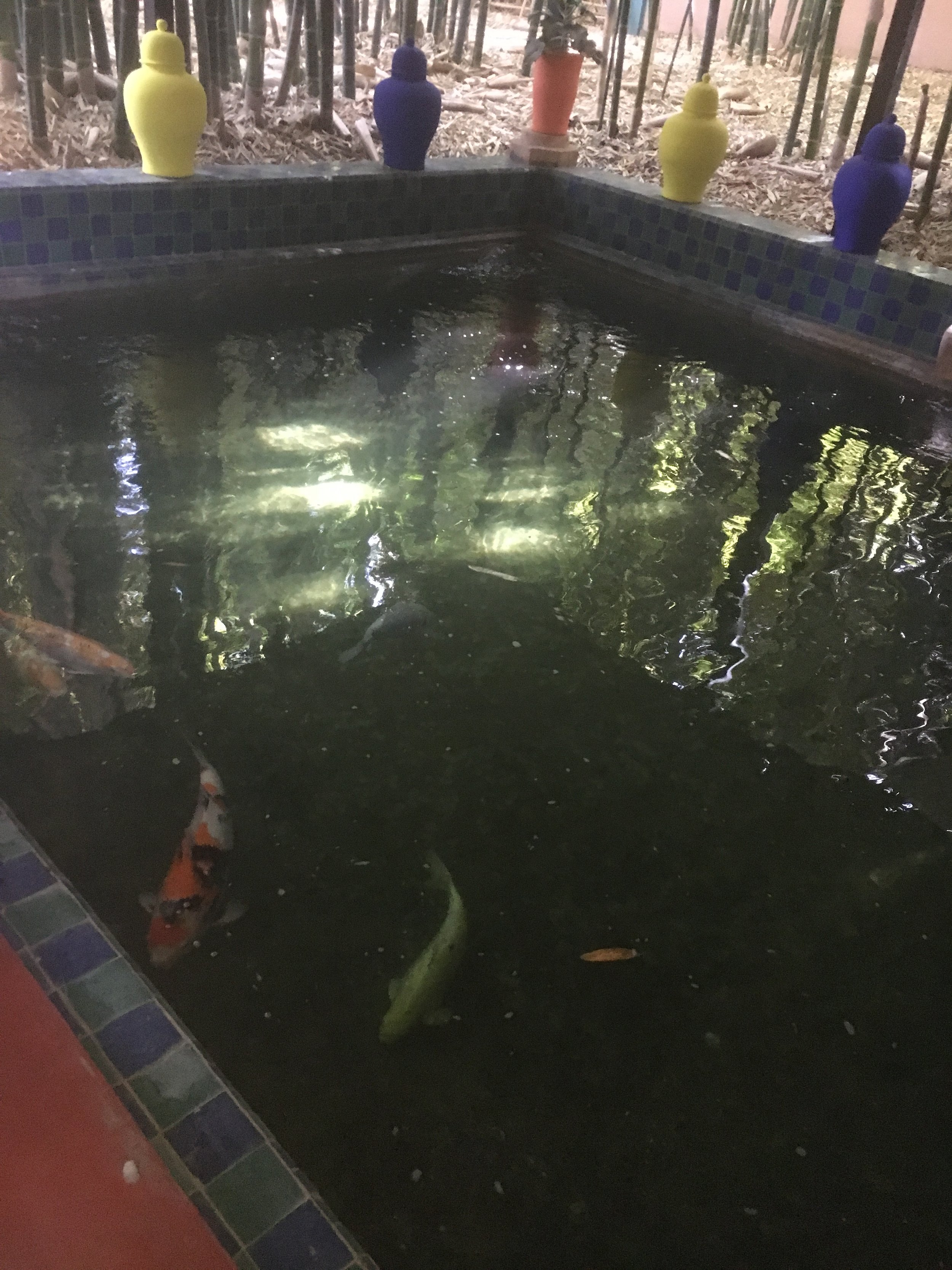 IMG_3398.jpeg