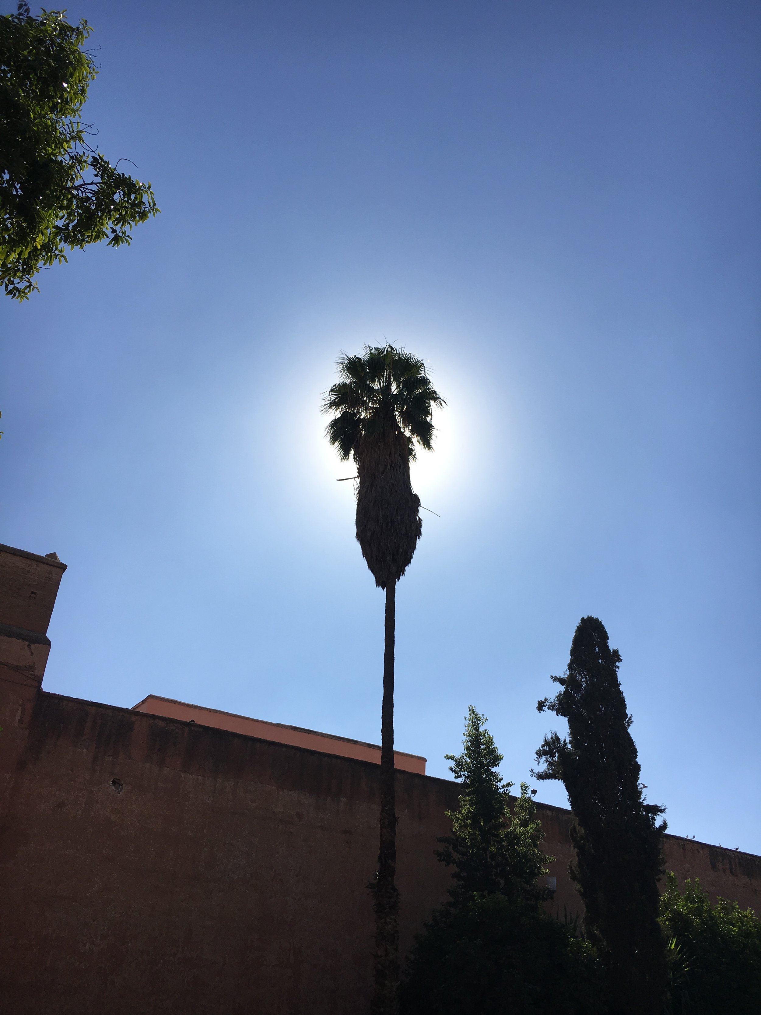 IMG_3221.jpeg
