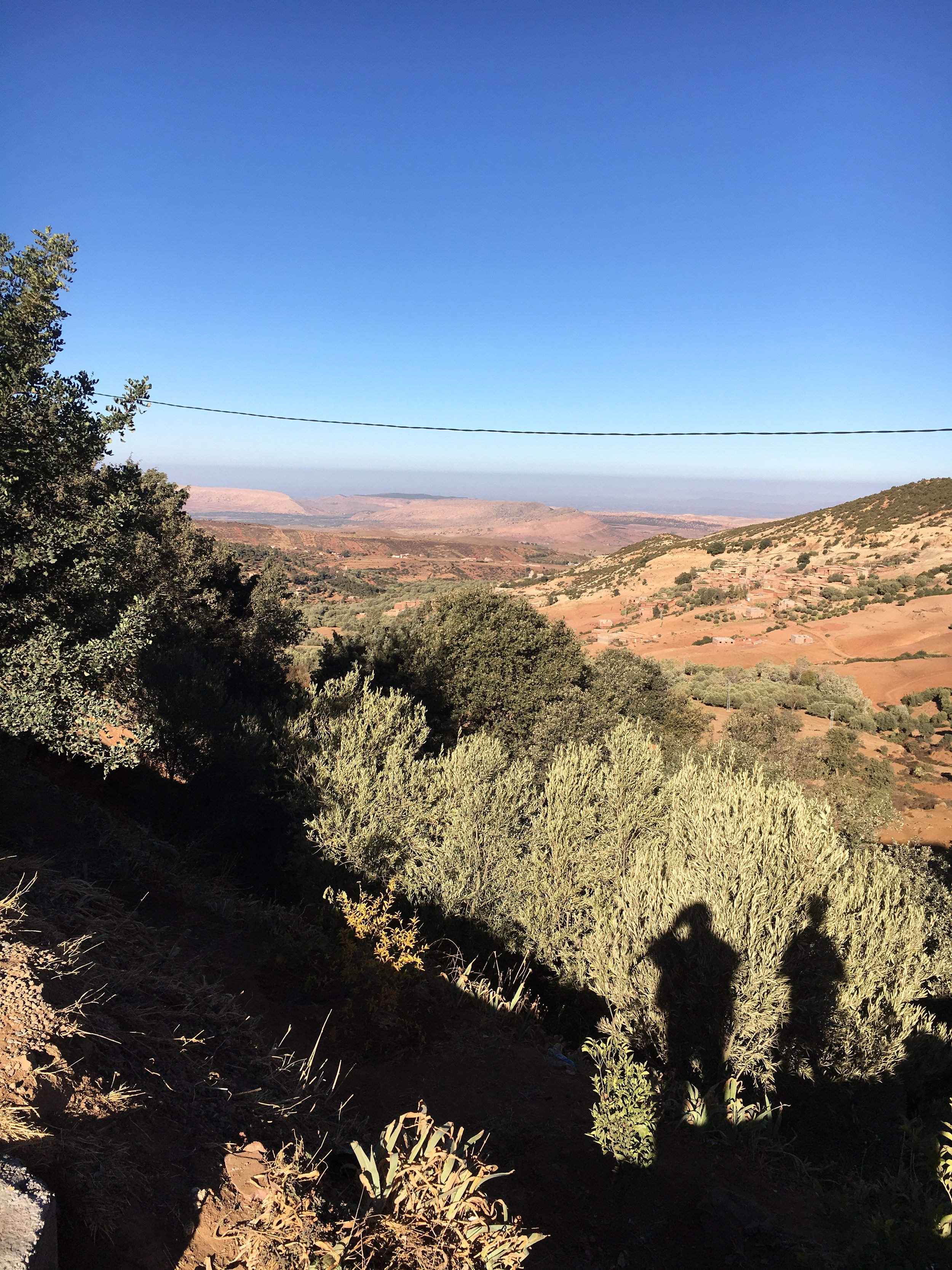 IMG_3263.jpeg
