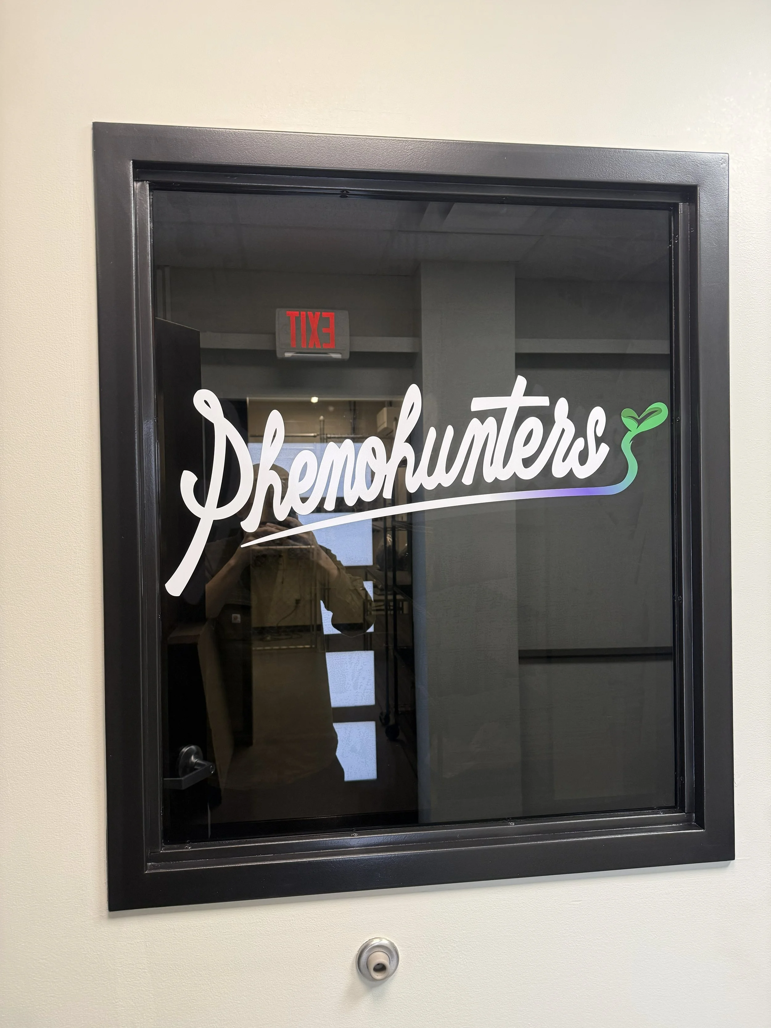 Window tint installed on a window by Fine Line Auto Wraps in Holland, MI.