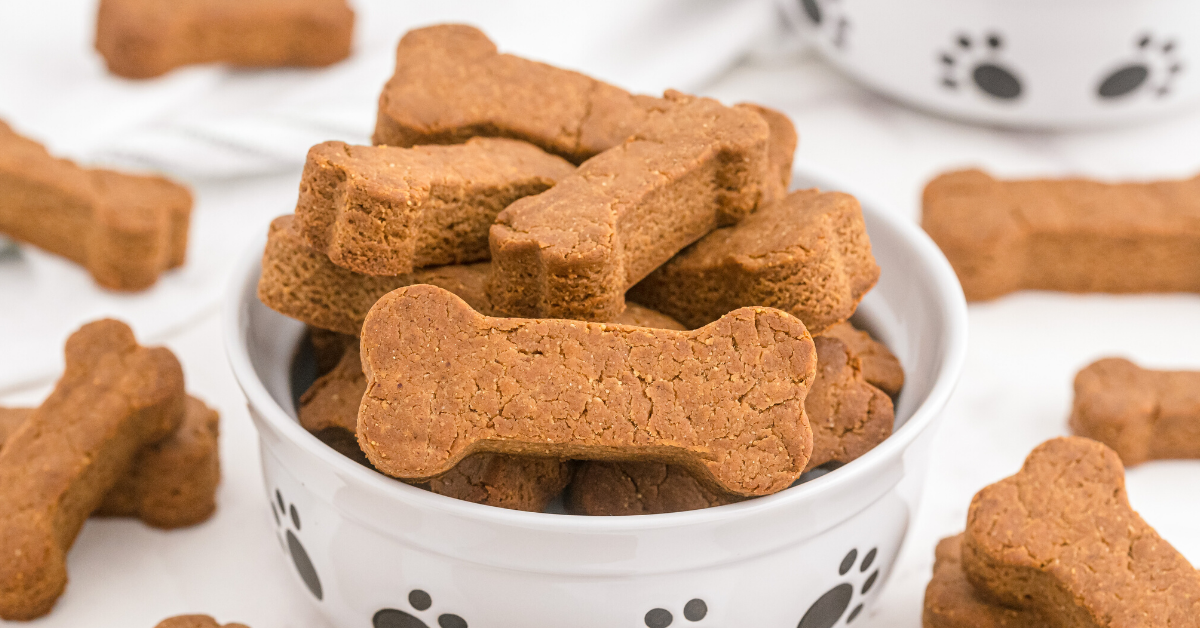 Receitas saudáveis e fáceis de lanches para cães