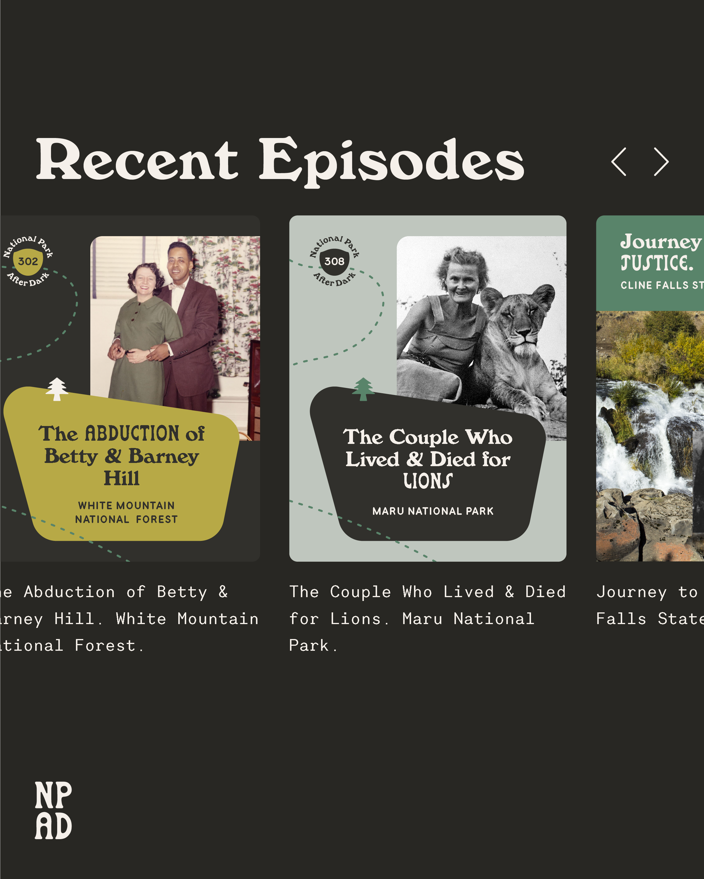 NPAD REBRAND POST-04.png