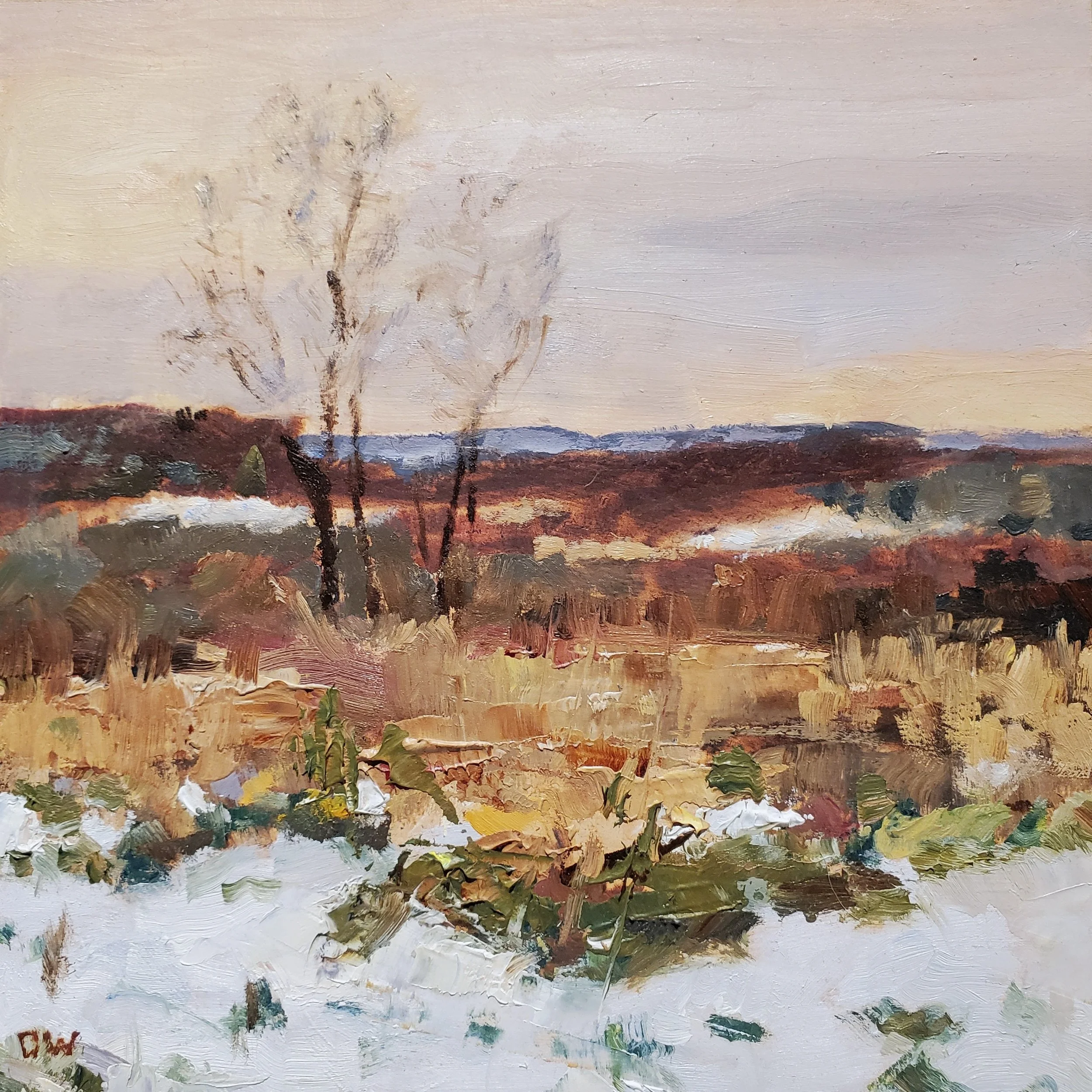 Snow Fields by Richard Westfall