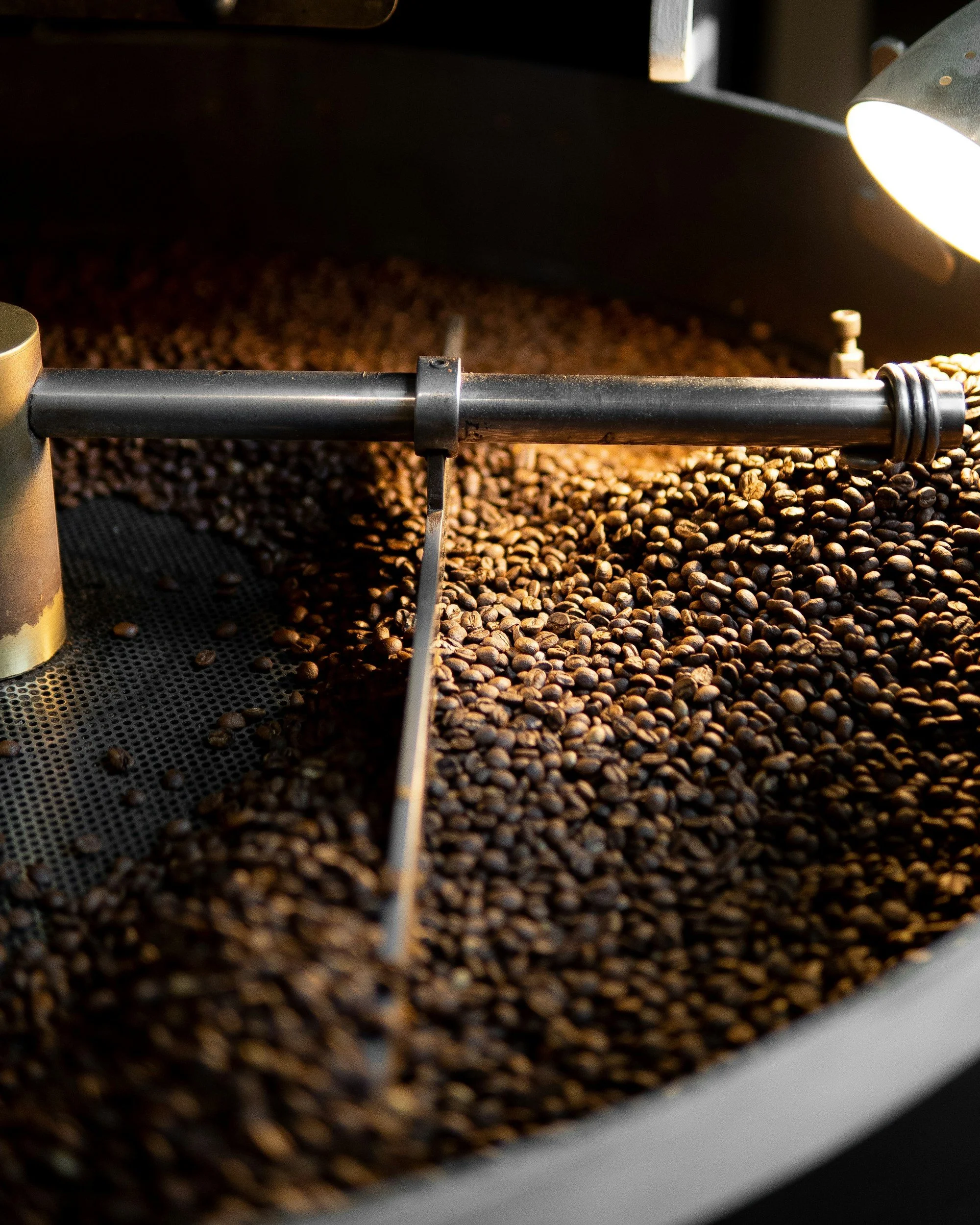 What Is Specialty Coffee? A Beginner’s Guide to Better Coffee