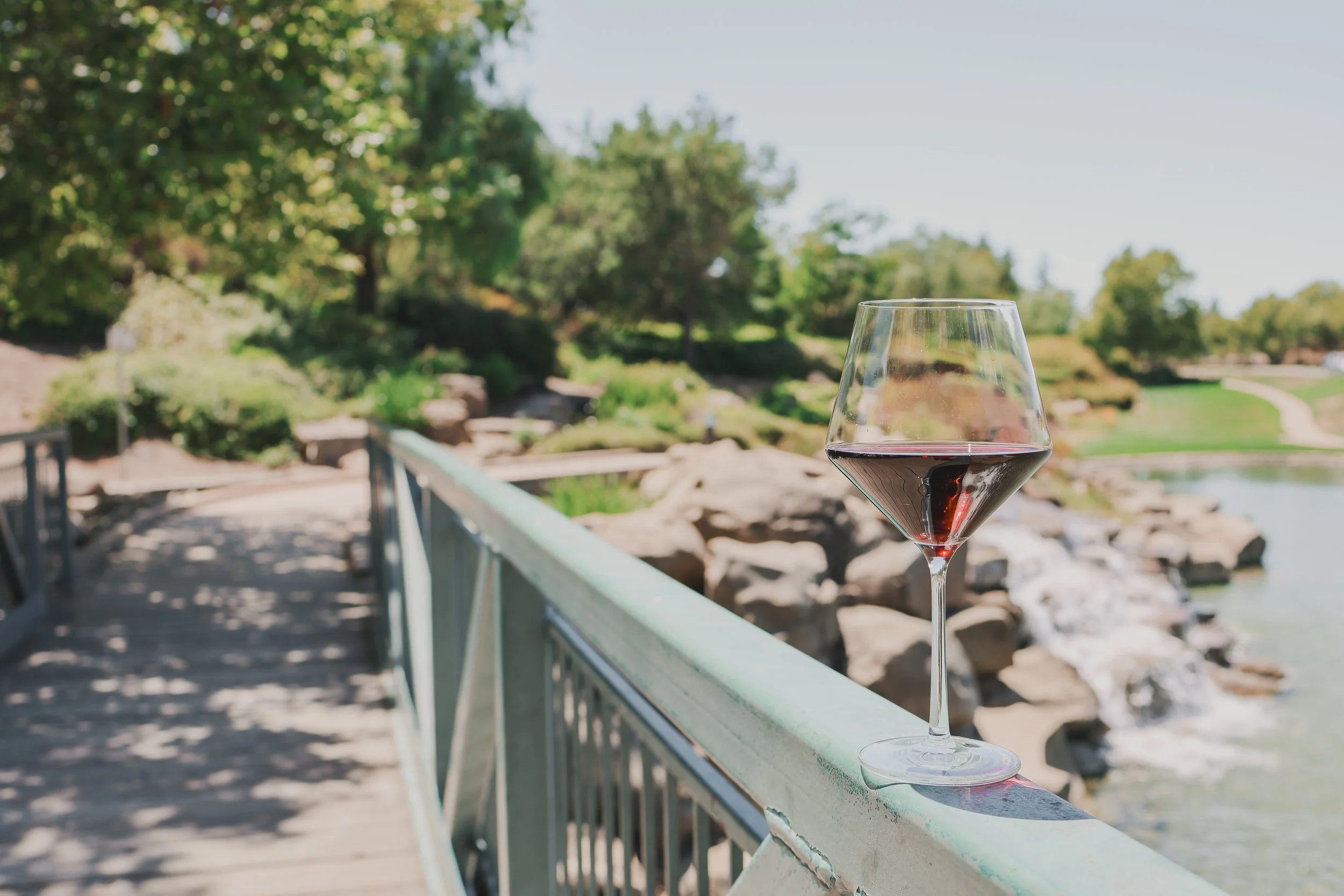 July Wine Favorites: 4 Bottles I Loved and Why You’ll Want to Try Them