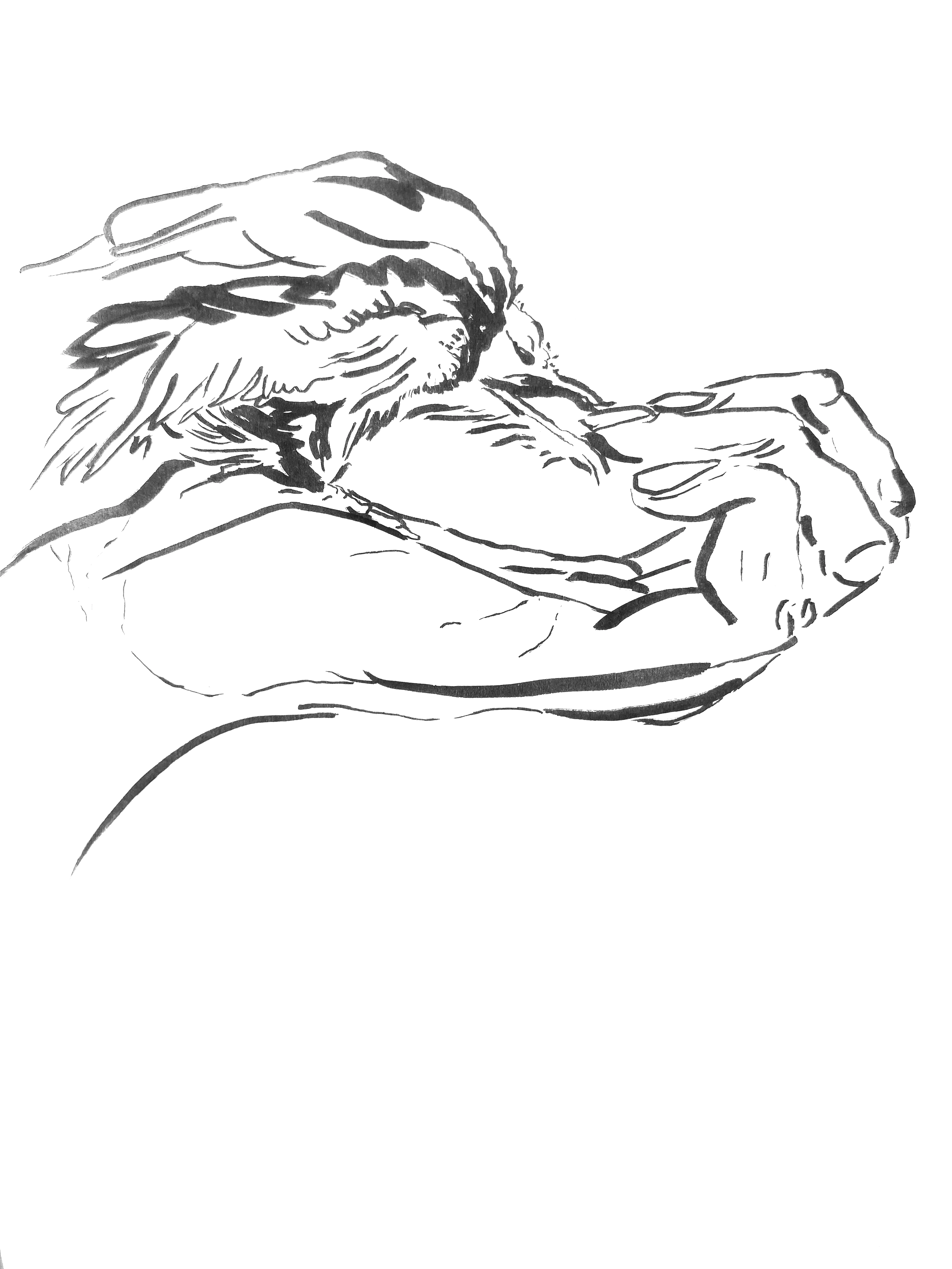 IMG_2744.png