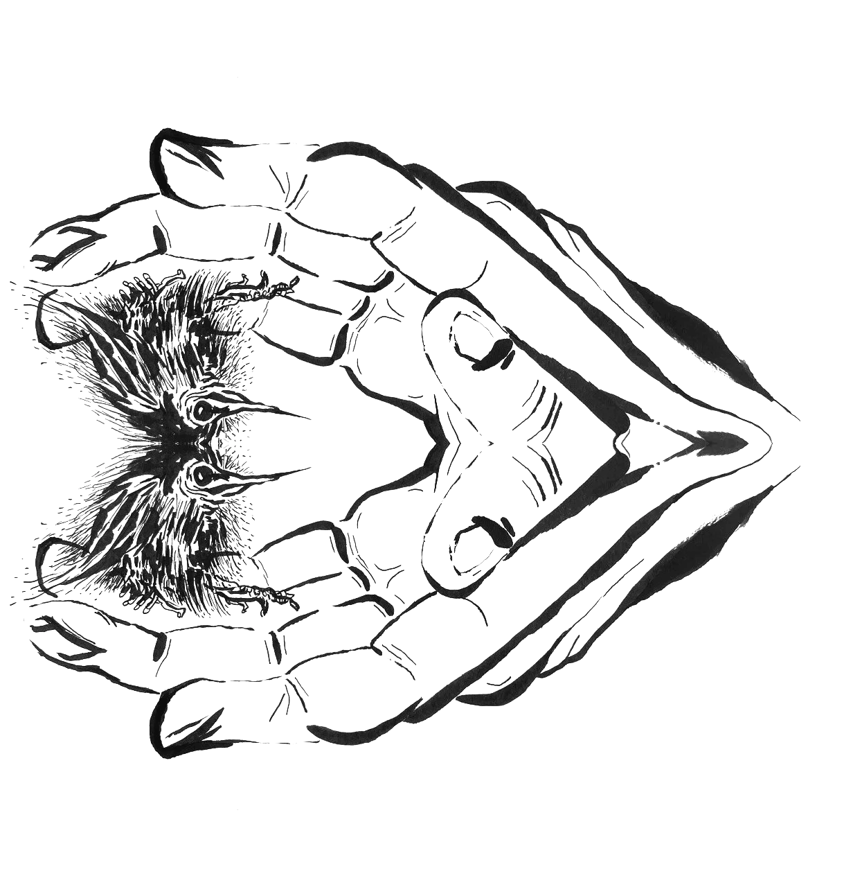 IMG_3551.png