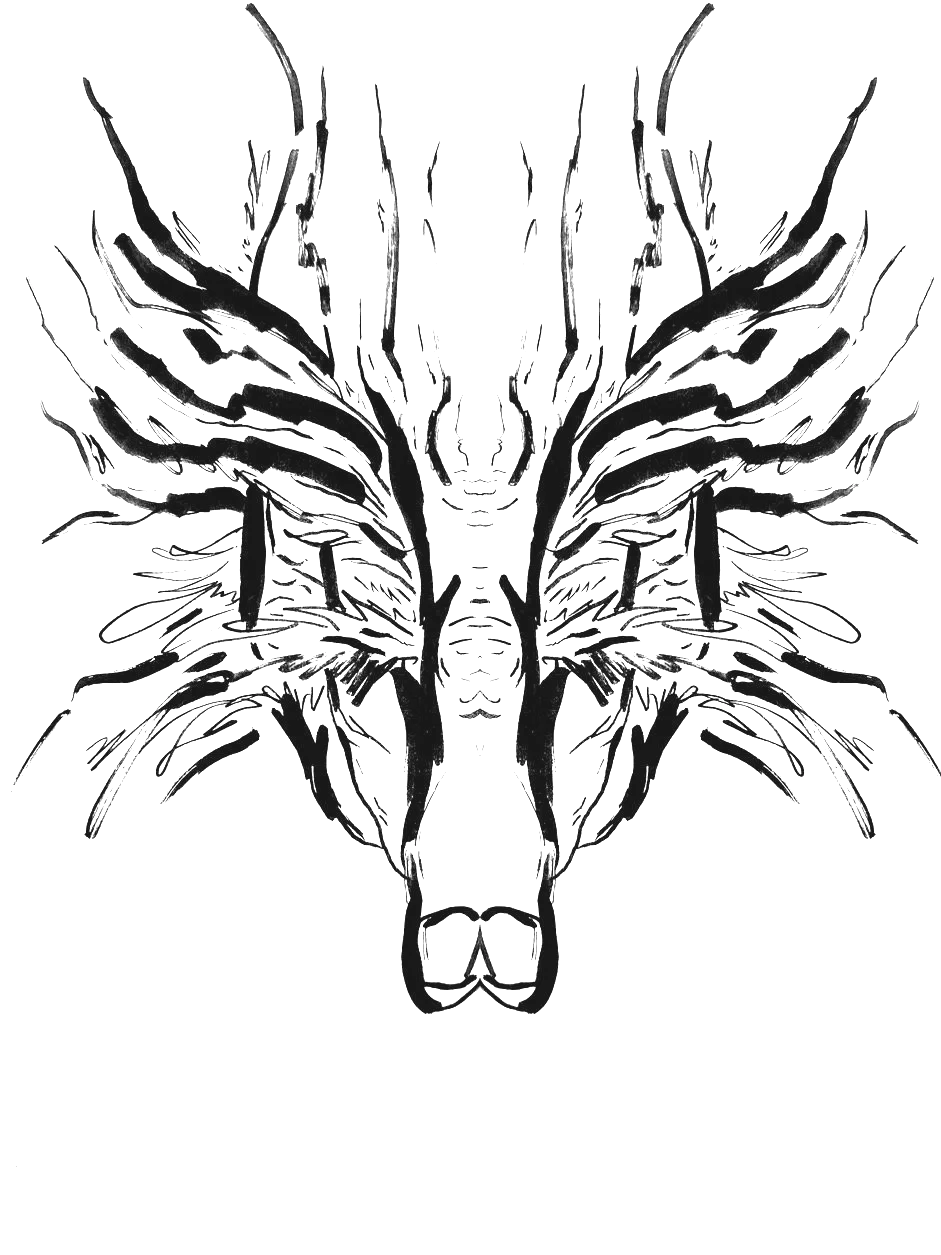 IMG_3686.png