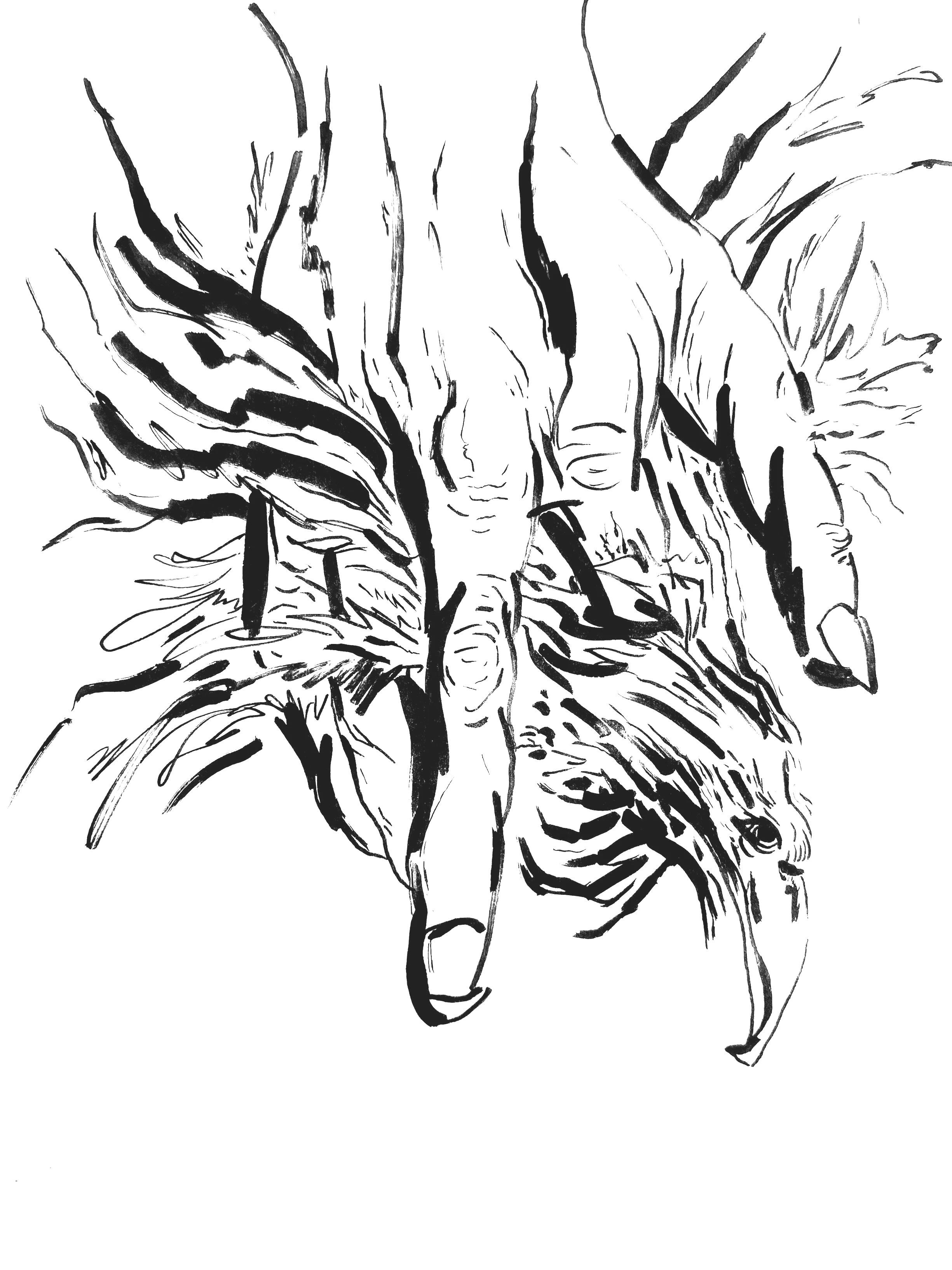IMG_2768.png