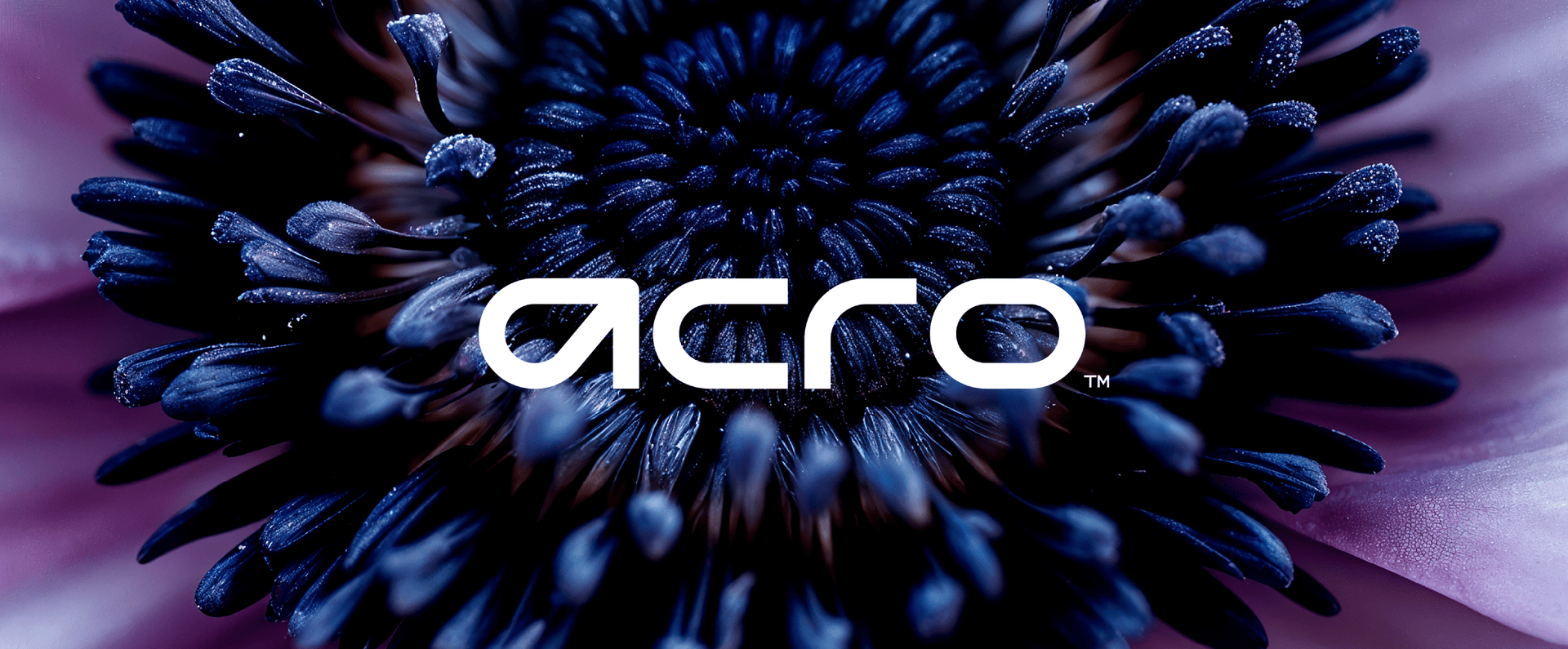 Animated billboard montage showcasing multiple brand identity case studies, demonstrating how strategic logo systems and visual identities scale across large-format outdoor advertising for modern, design-led brands.