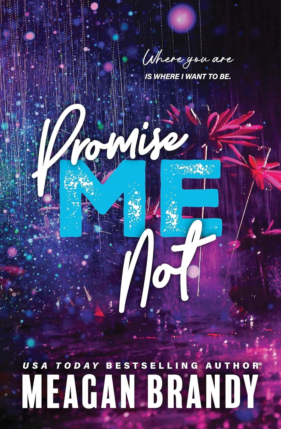 Promise Me Not (Boys of Avix, 2).jpg