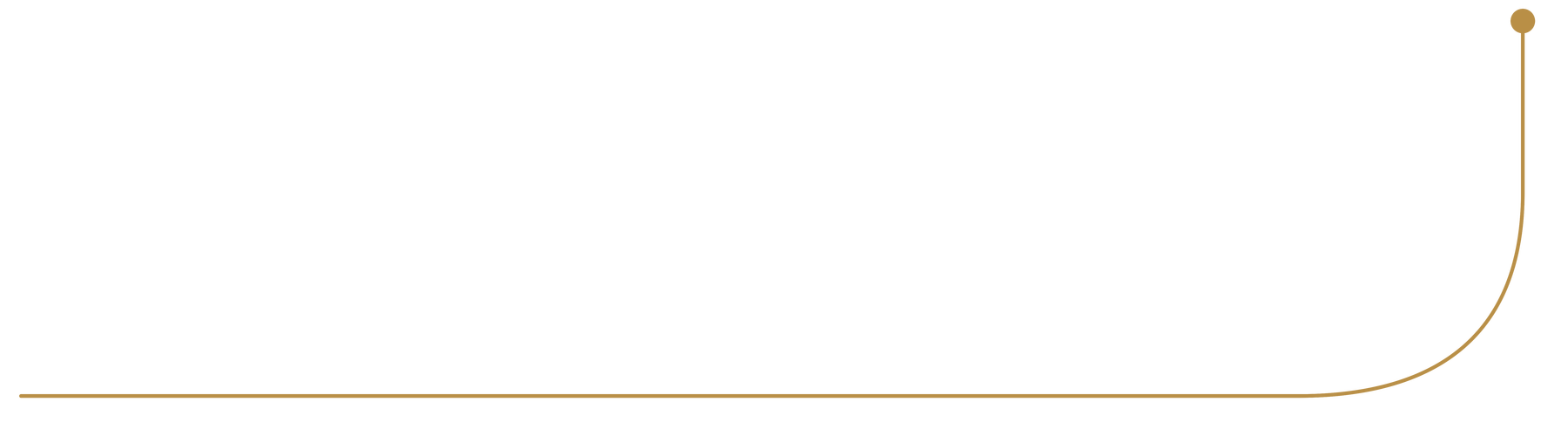 Gold decorative pointer
