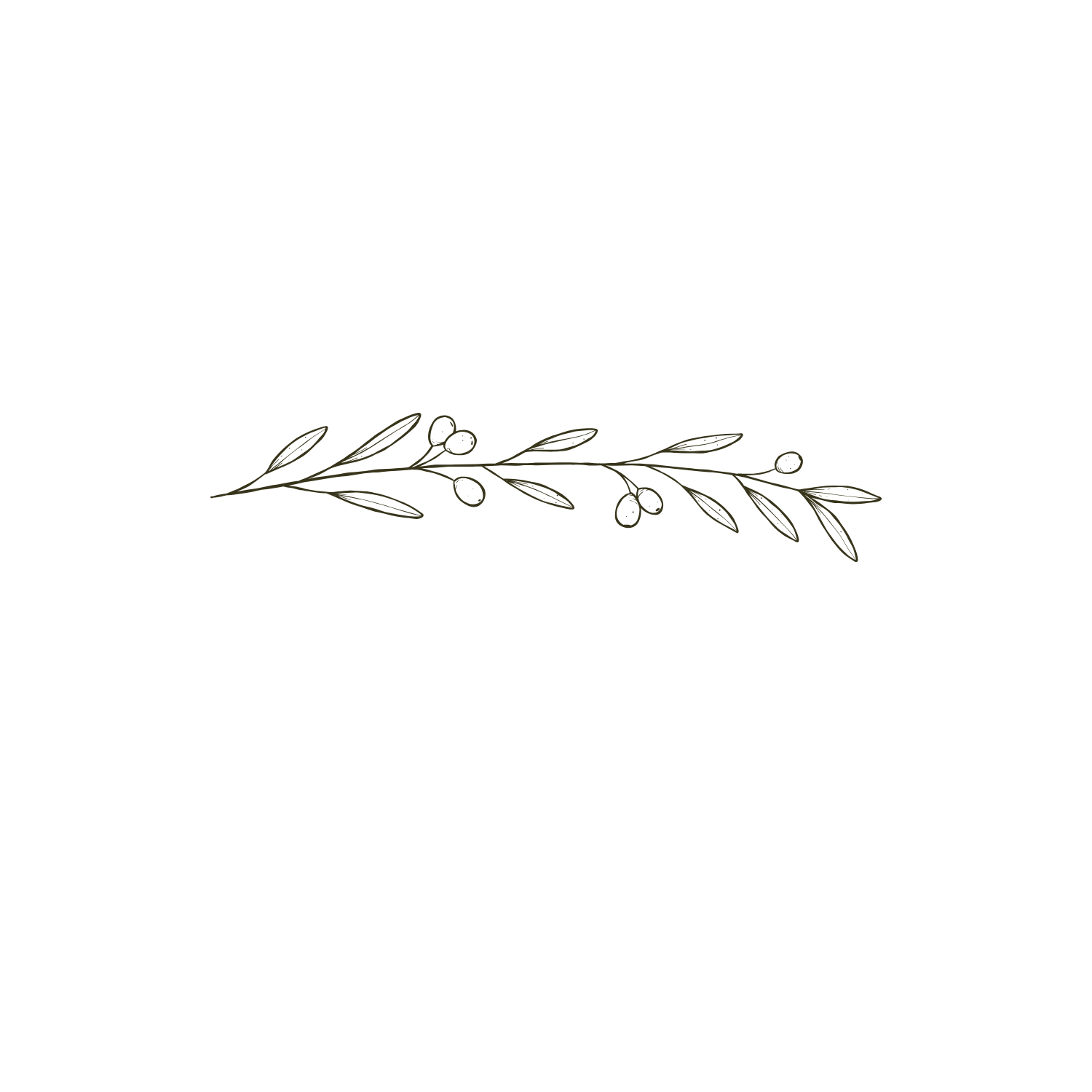 Line drawing of olive branch.