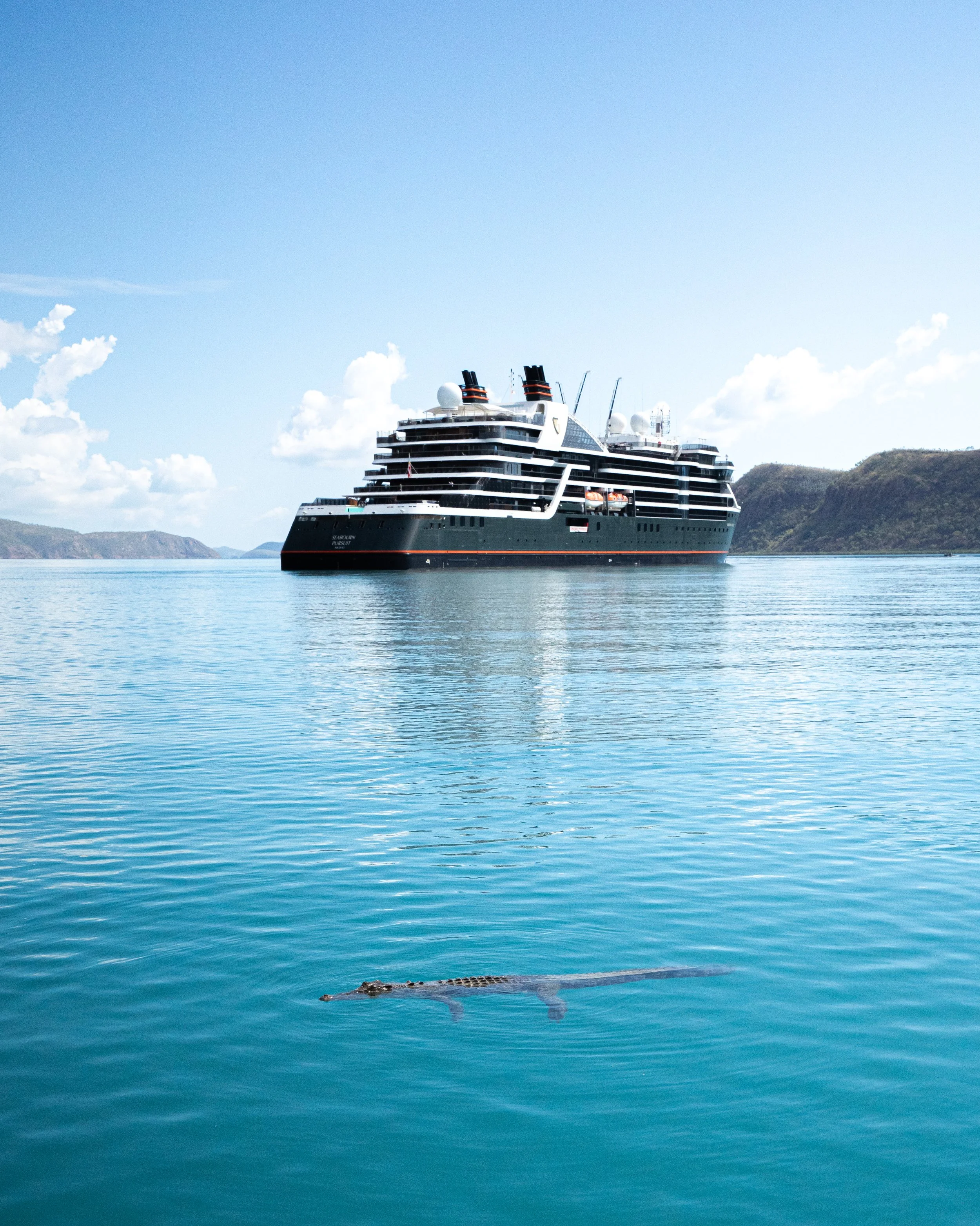 A cruise ship sailing in a body of water with a crocodile partially submerged in the water in the foreground.