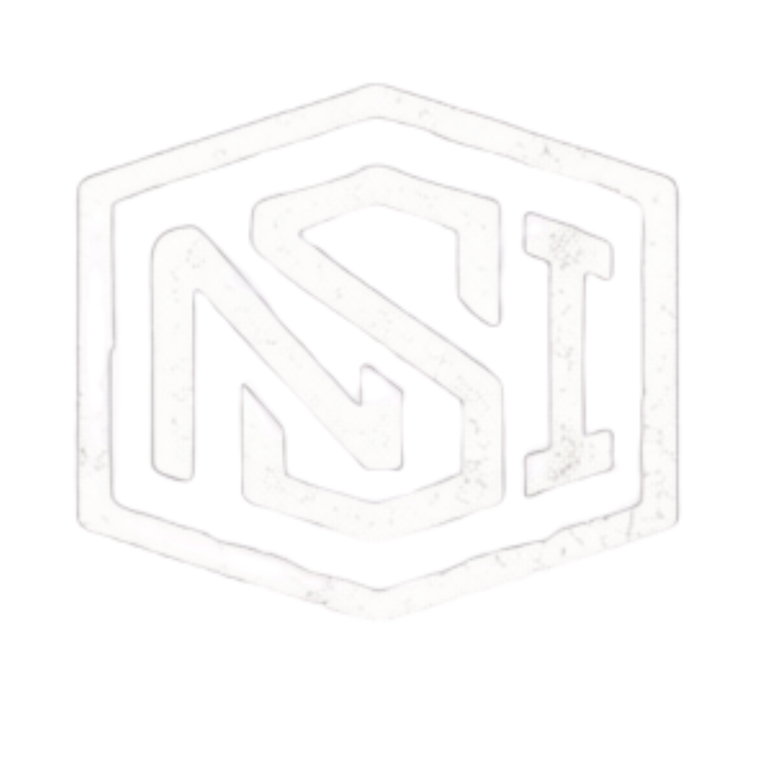 NSI