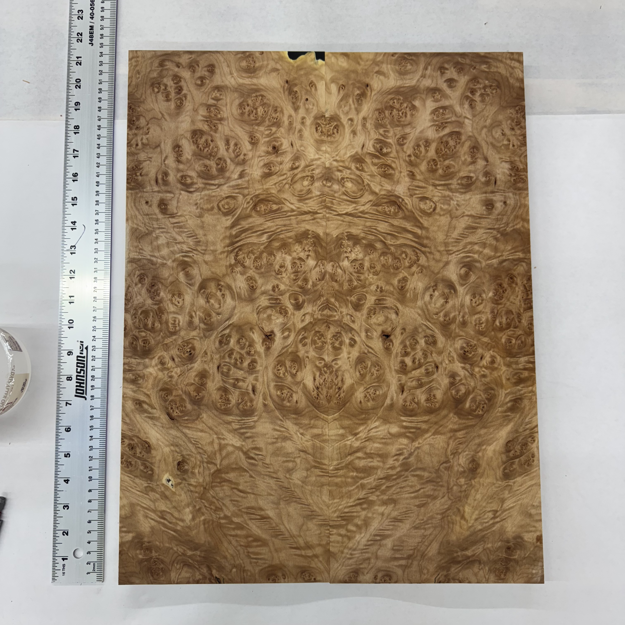 Oregon Maple Top: OFM030