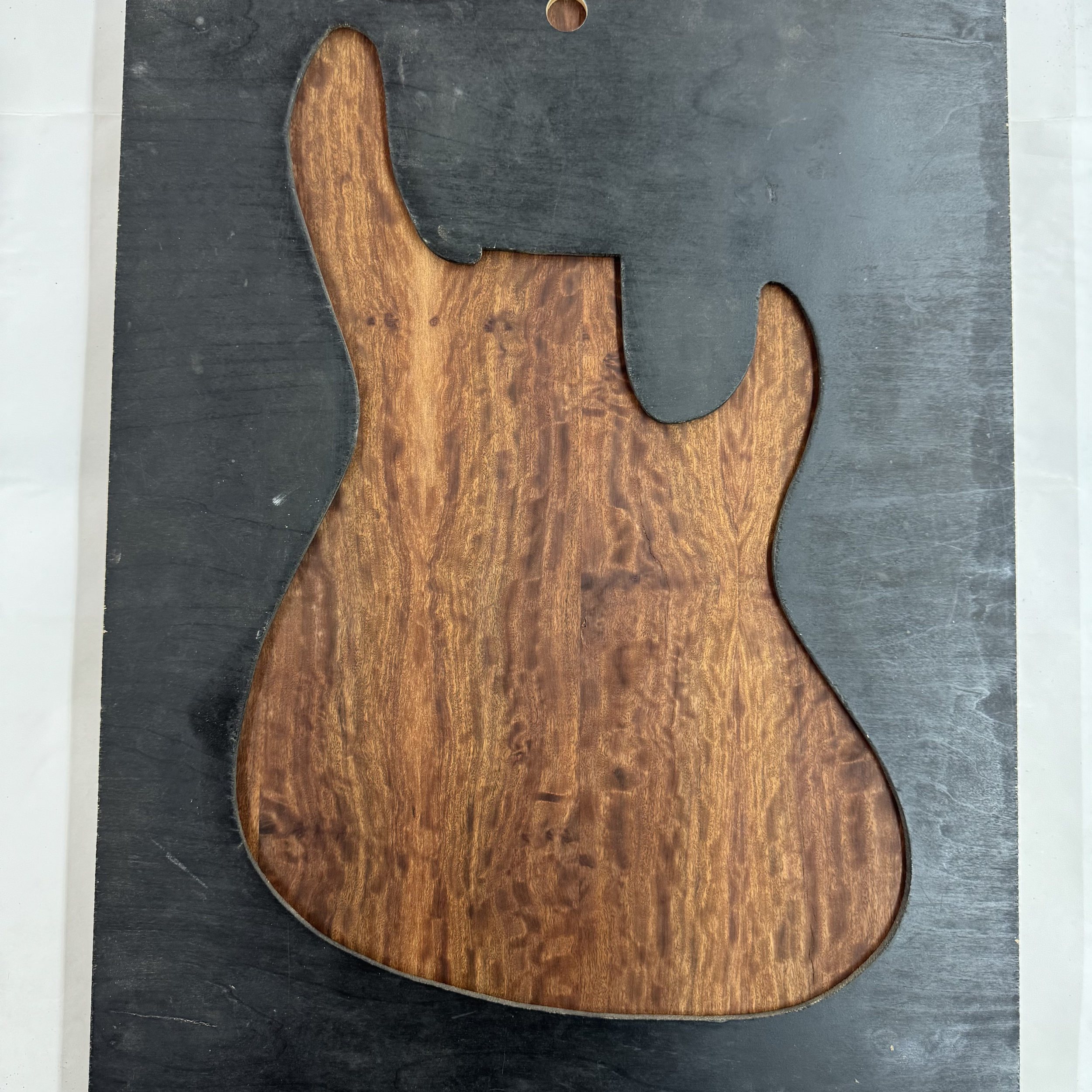 Arizona Eucalyptus Top: AZEU04