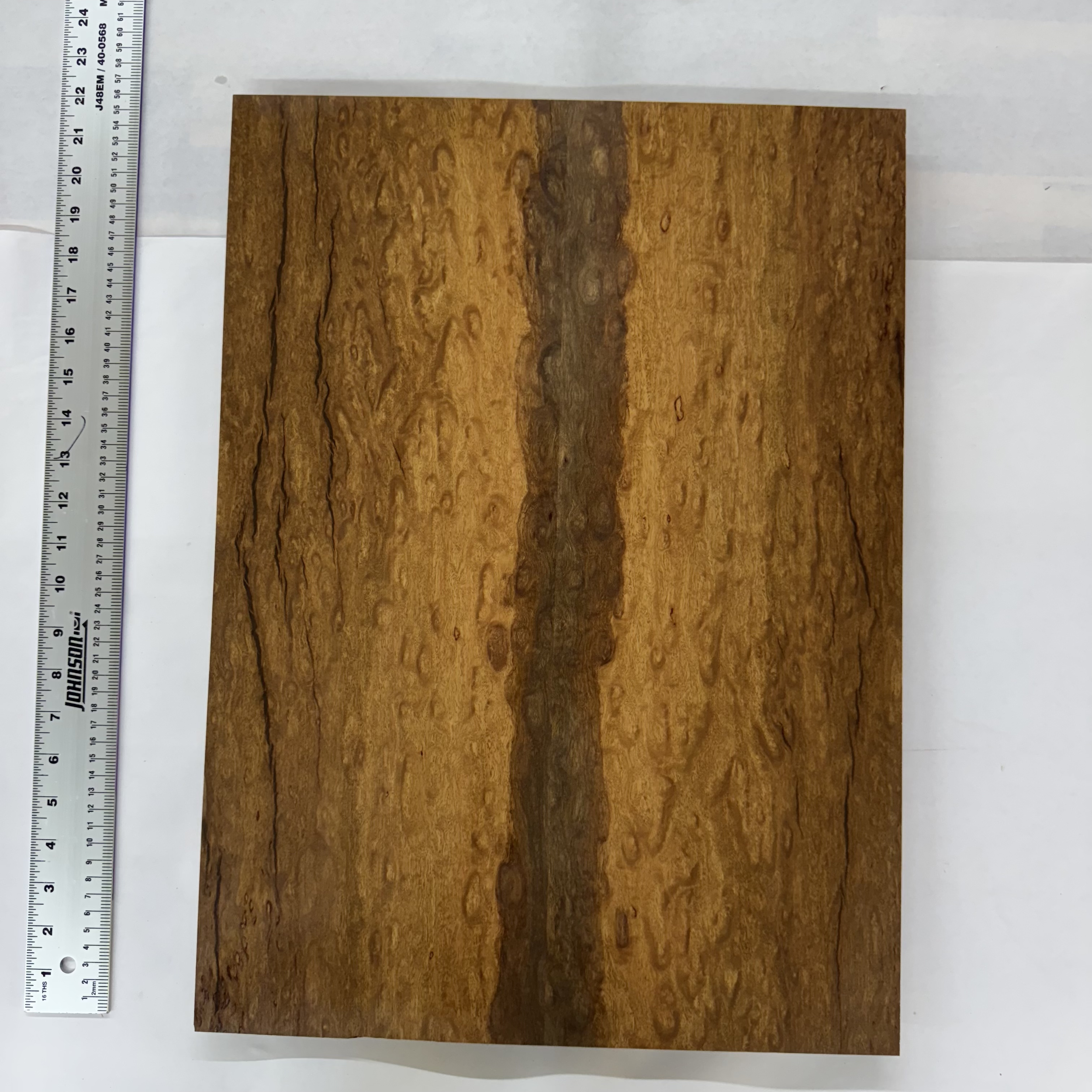 California Eucalyptus Top: CAEU03