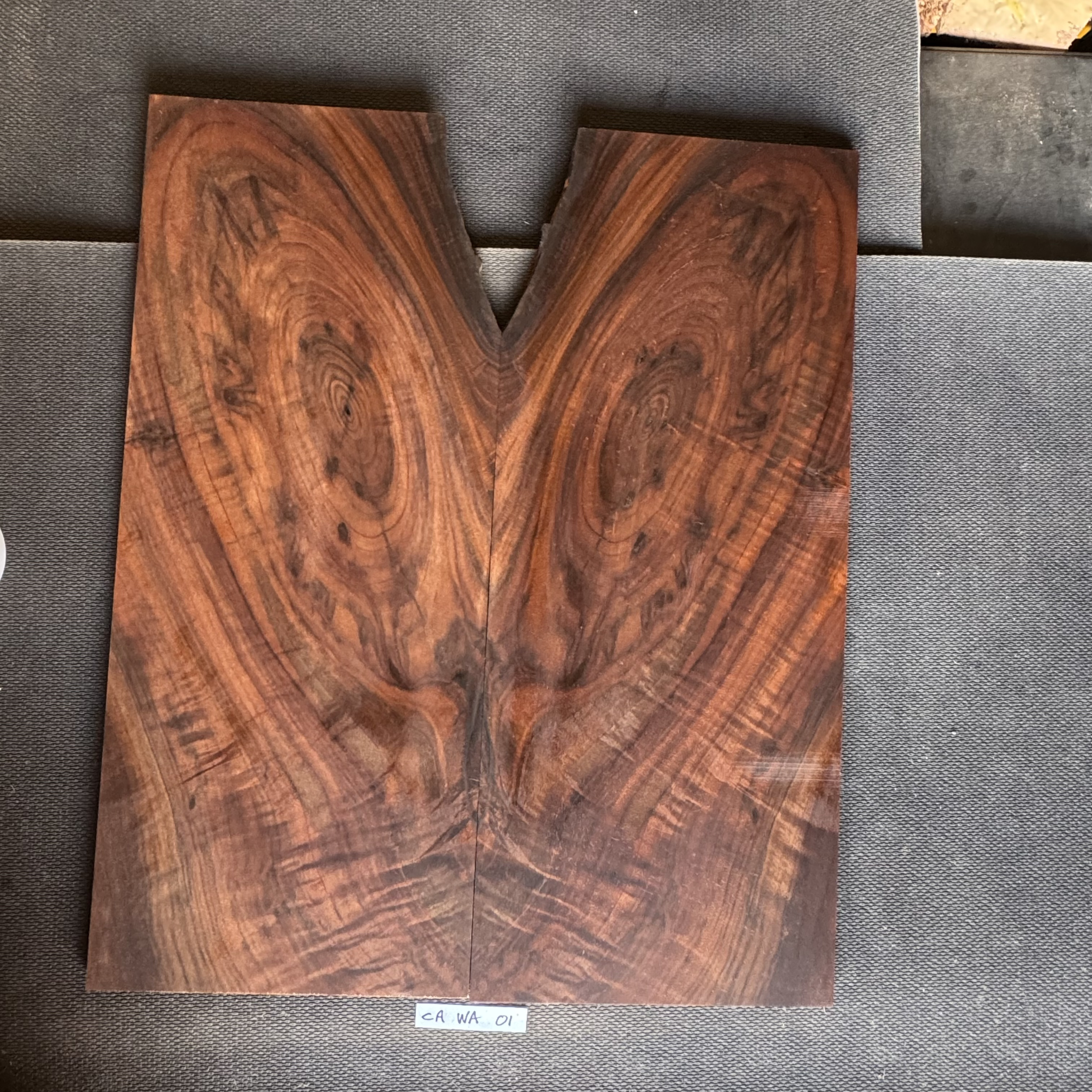 California Walnut Top: CAWA01