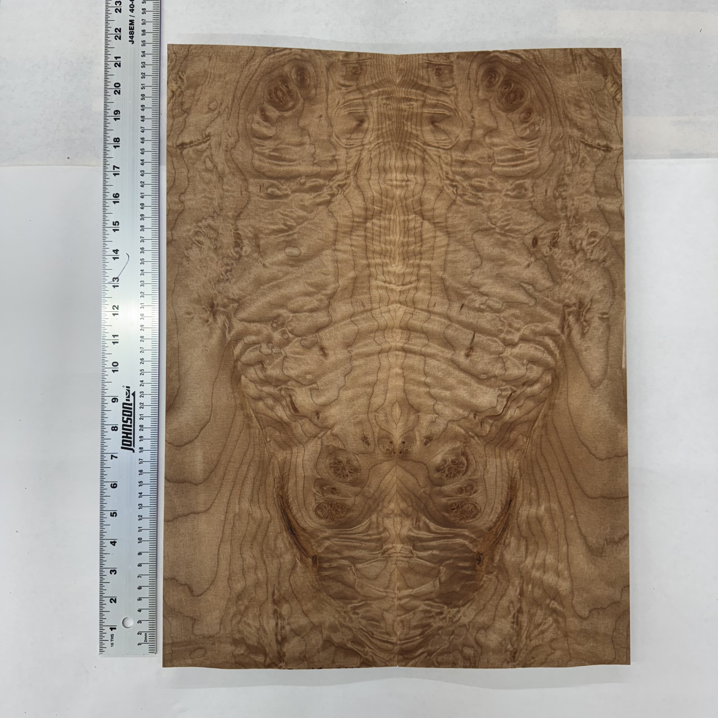 Oregon Maple Top: OFM031