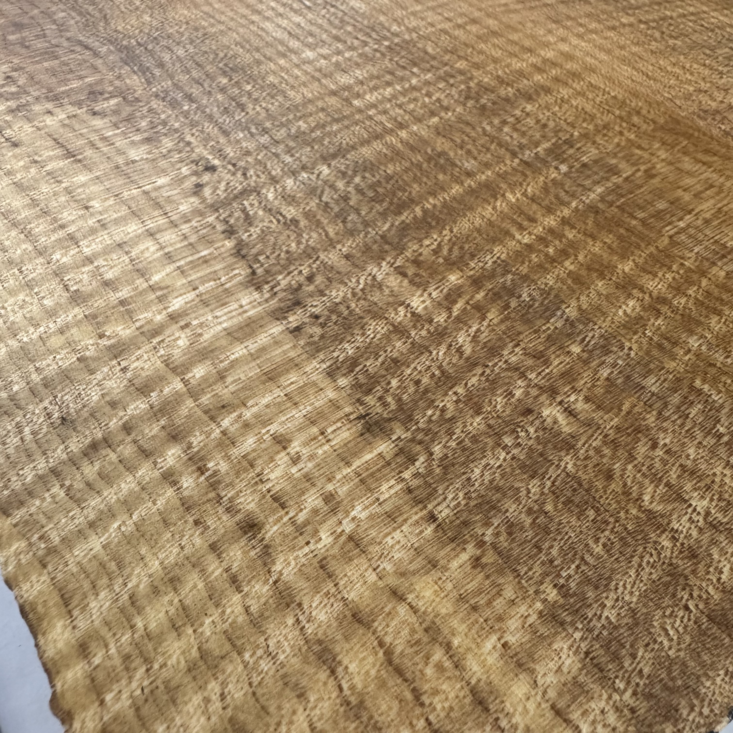 Oregon Maple Top: OFM043