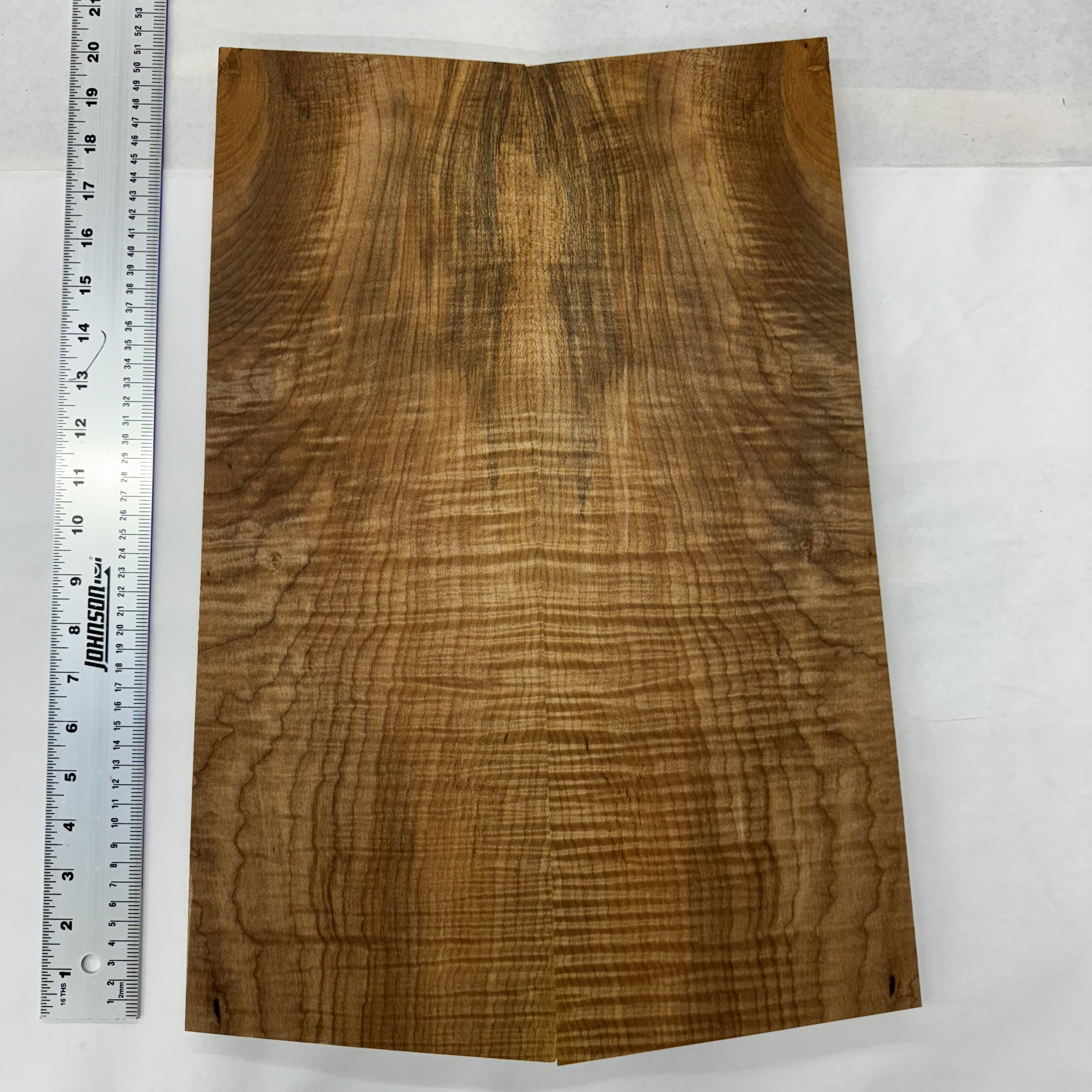 Oregon Maple Top: OFM042