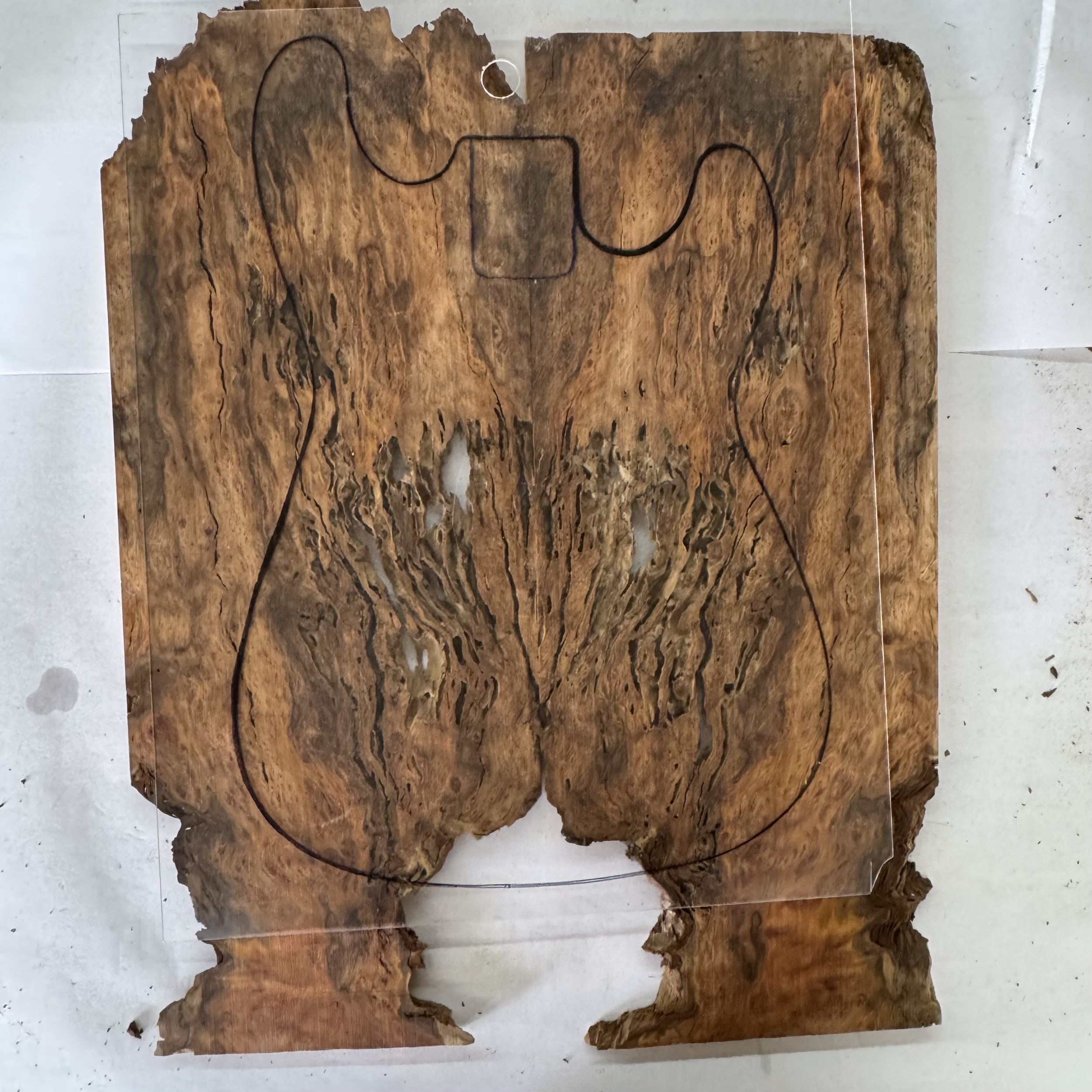 IMG_2855.png