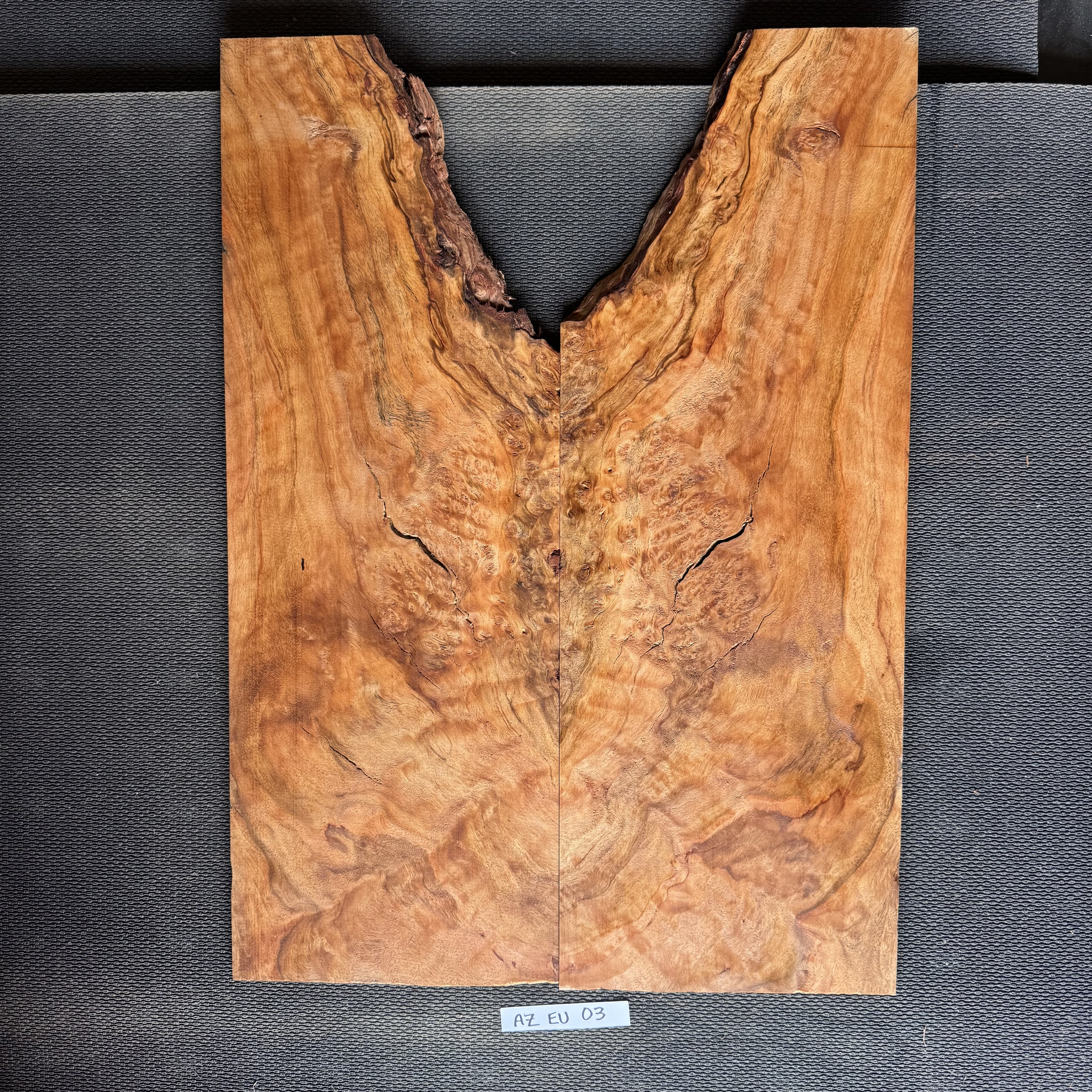 Arizona Eucalyptus Top: AZEU03