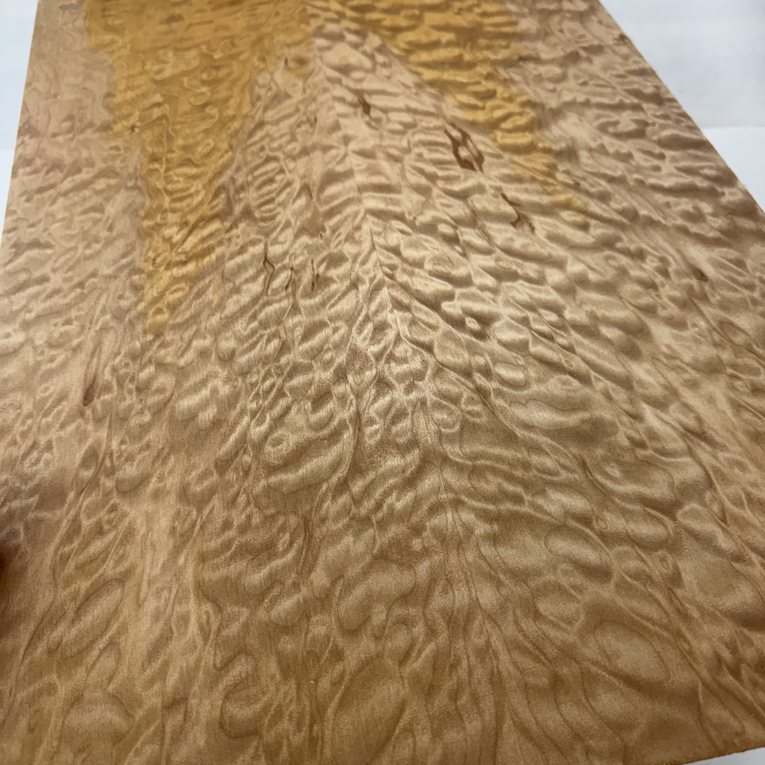 Oregon Maple Top: OFM044