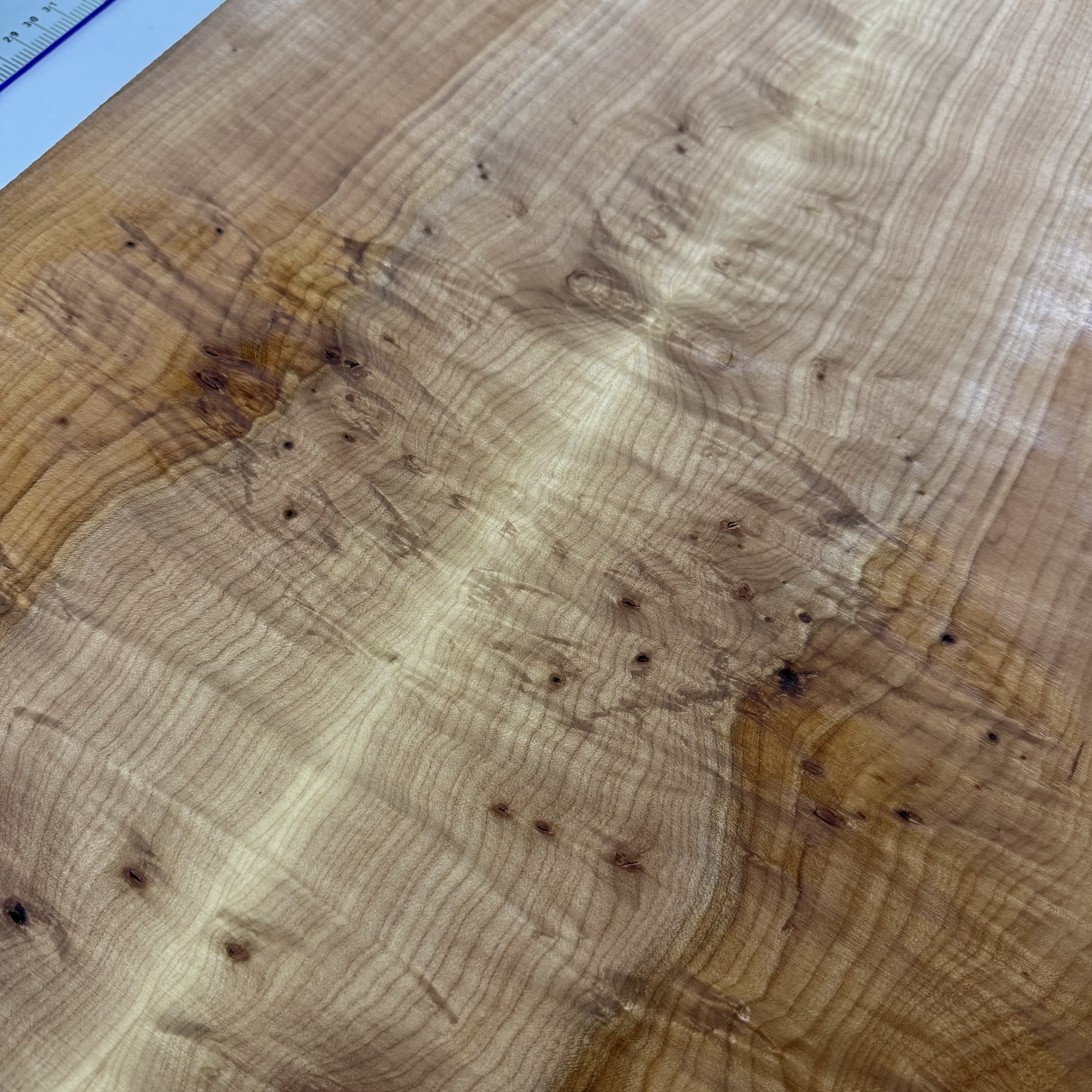 Oregon Maple Top: OFM045