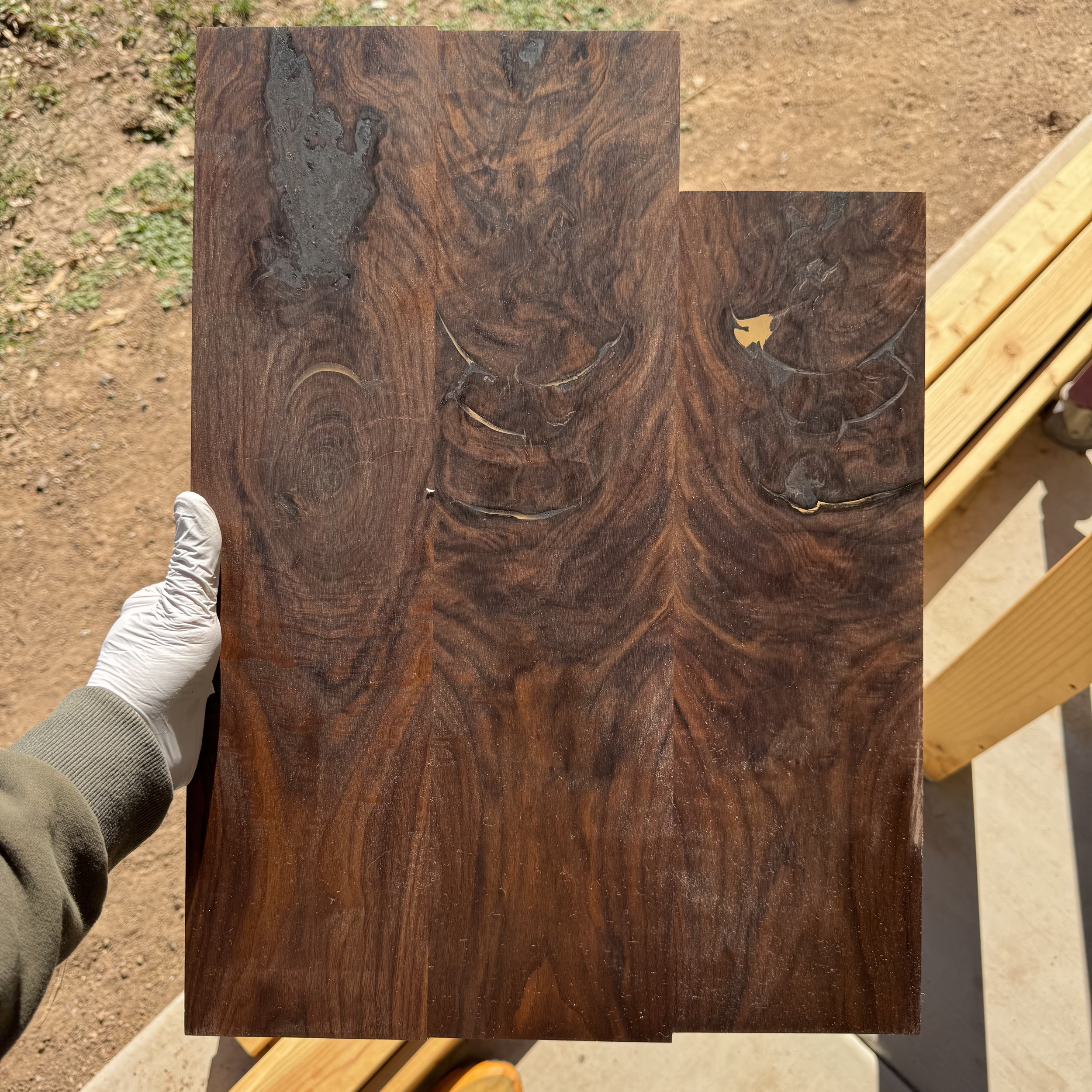 California Walnut Top: CAWA15