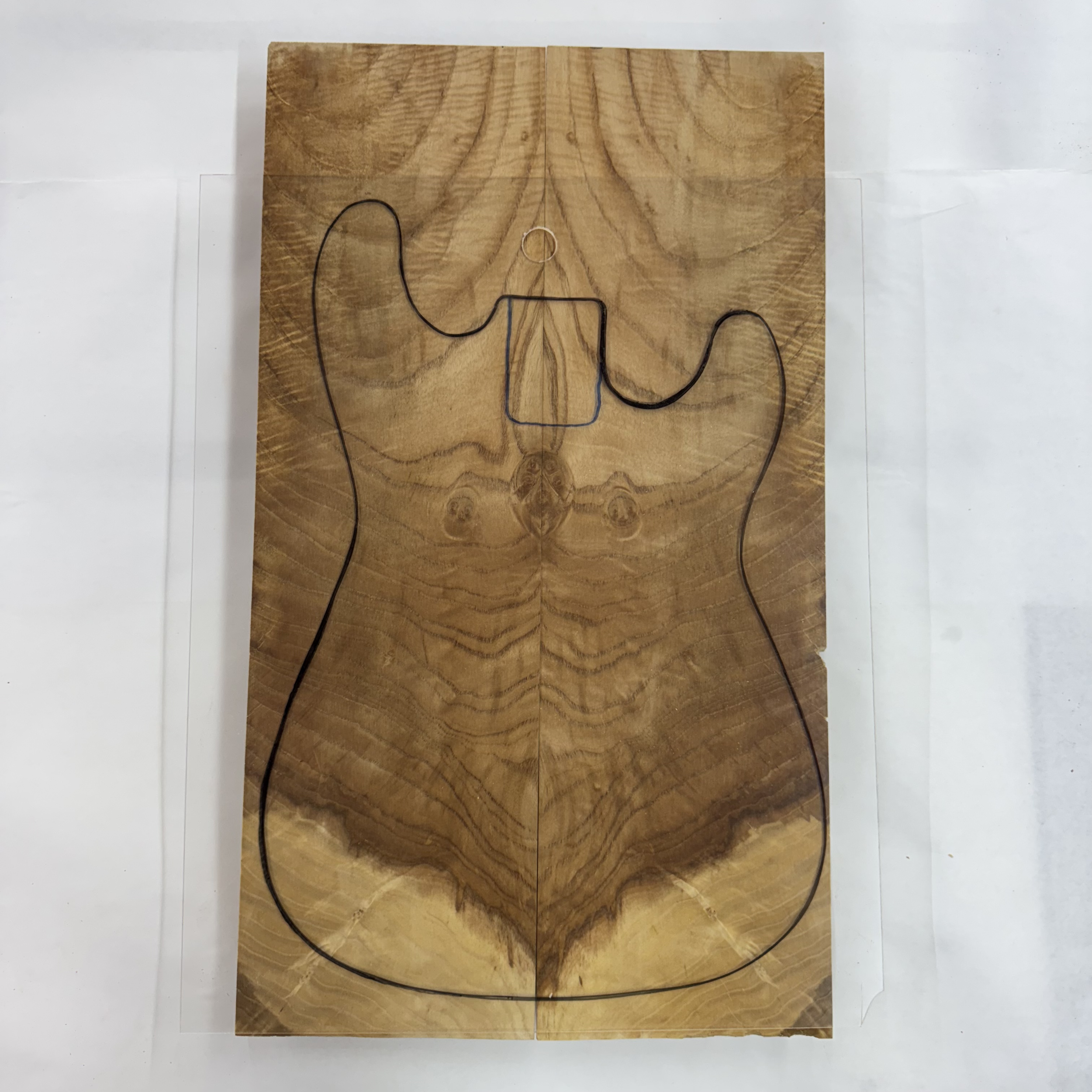 Arizona Ash Top: AZAS07