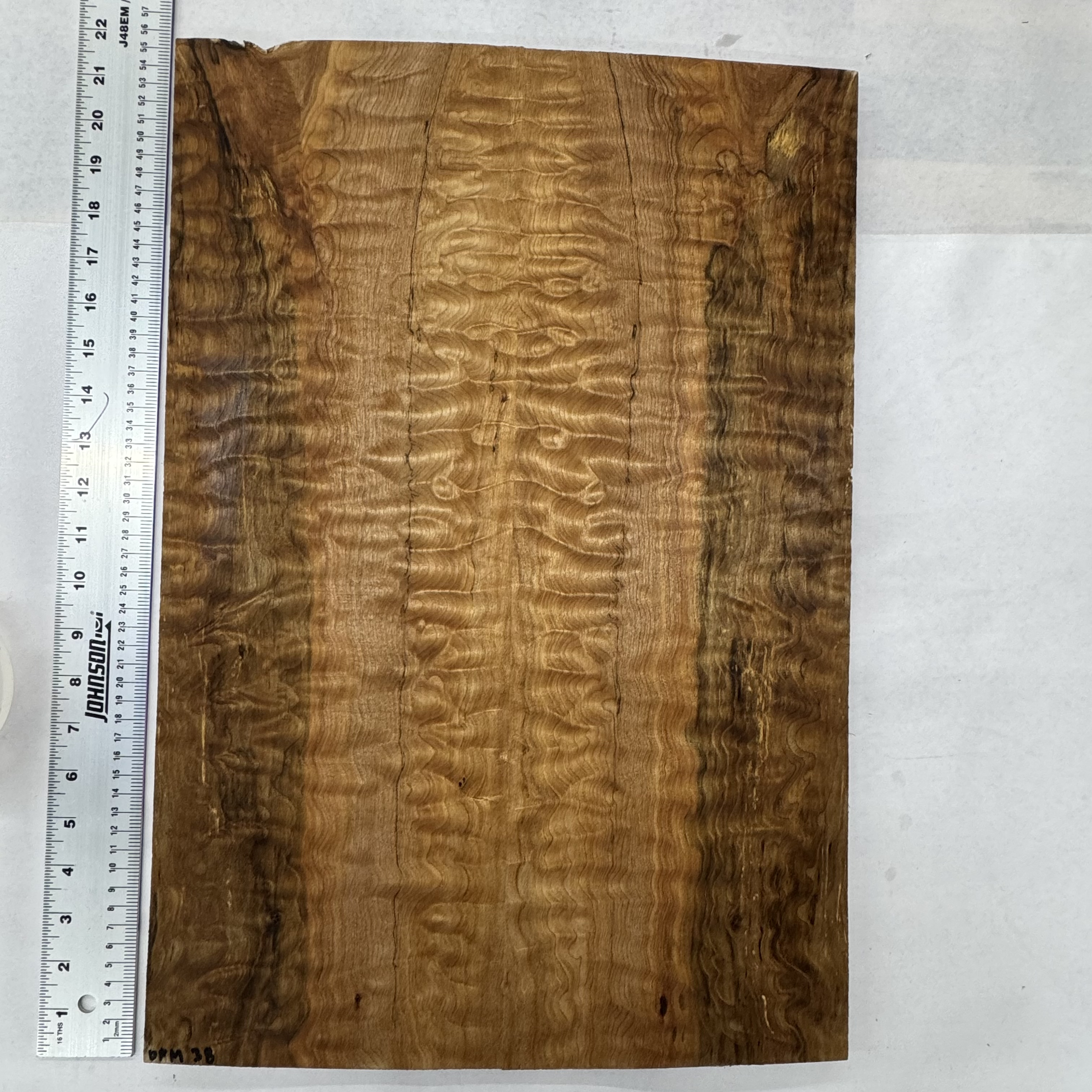 Oregon Maple Top: OFM038