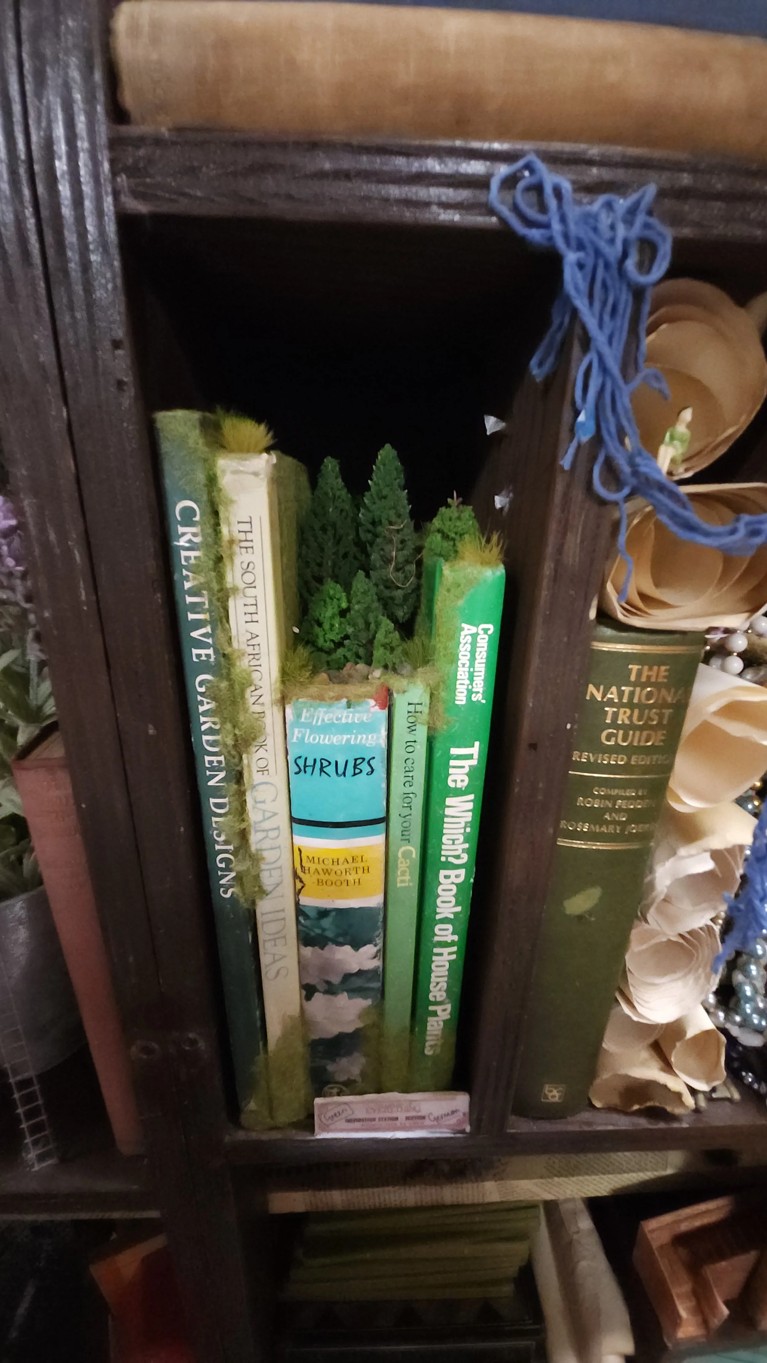 20221119_121340.jpg