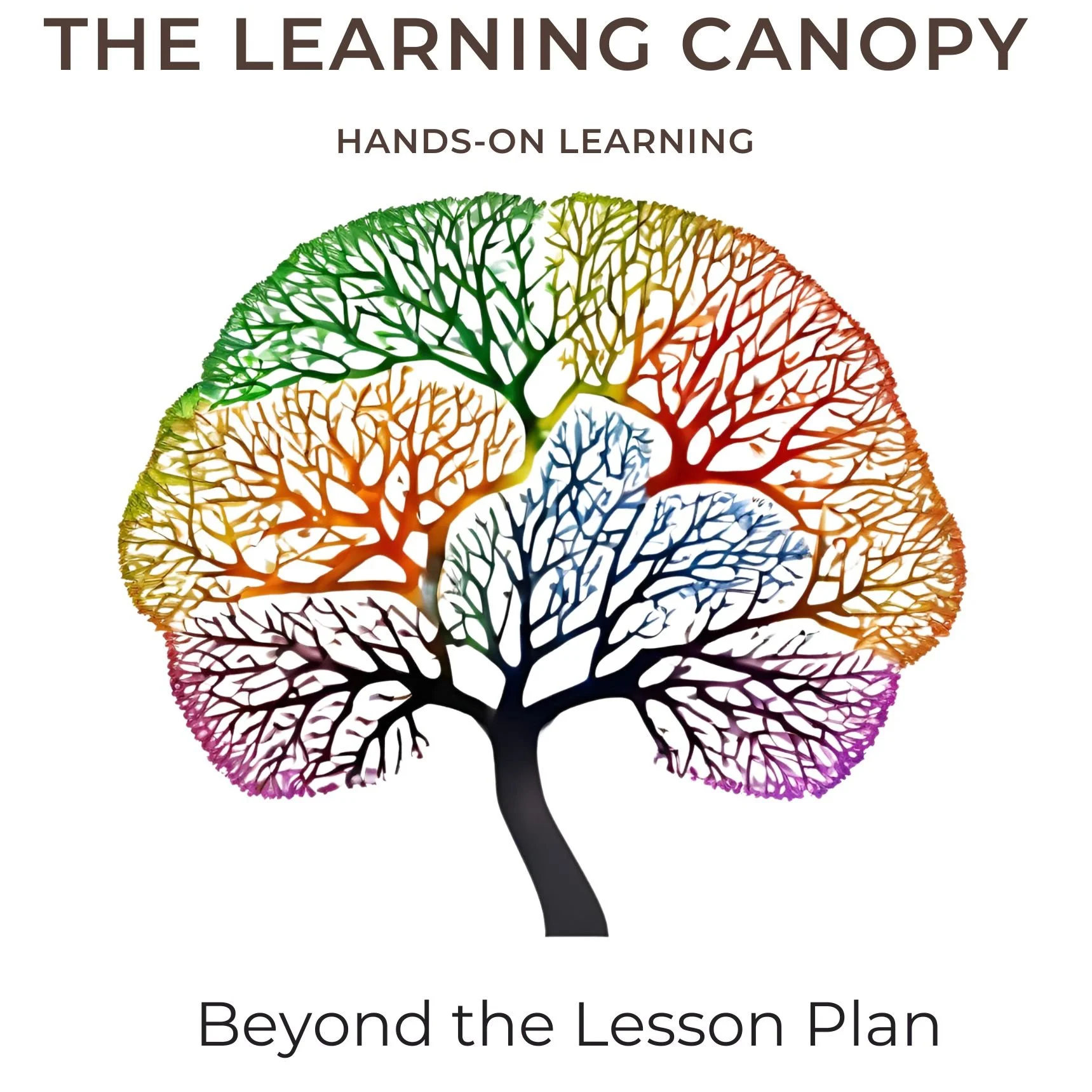 Colorful, stylized tree with branches in various rainbow colors and the text 'THE LEARNING CANOPY' and 'HANDS-ON LEARNING' at the top, and 'Beyond the Lesson Plan' at the bottom.