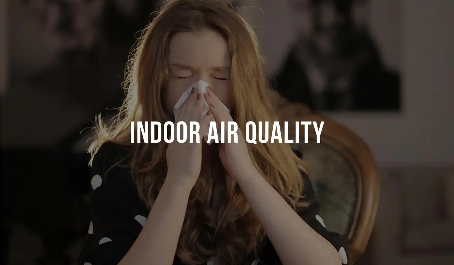Indoor Air Quality Solutions
