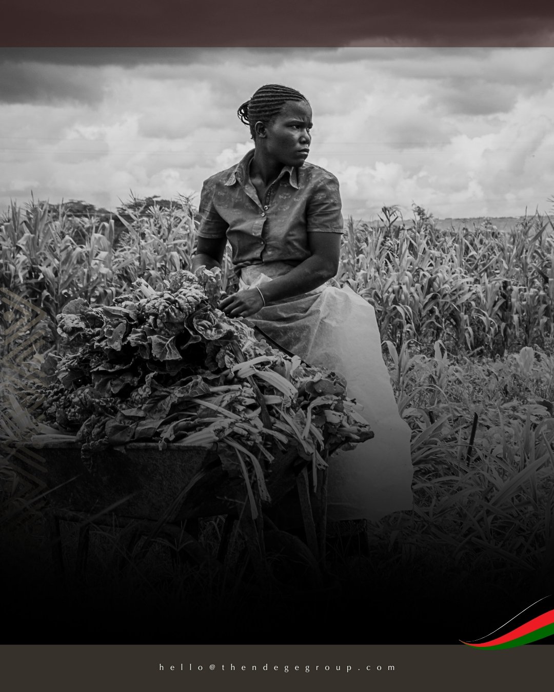 Our sustainable farms in Kenya, Tanzania, Uganda and Burundi grow vibrant vegetables, supporting 70 farmers and aligned with NdegeFoundation&rsquo;s REIT growth. #NdegeMarketPlace #SustainableFarming