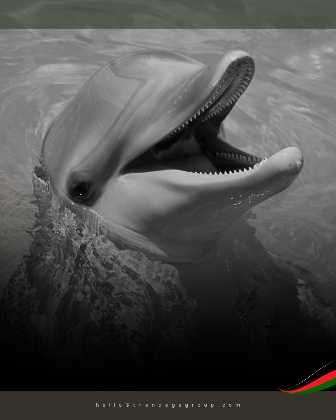 @TheNdegeGroup's REIT is in its final development stages with #NdegeAquarium, East &amp; Central Africa's premier public aquarium being among its flagship establishments. The facility will be free-access to students perpetually, a use of #education a