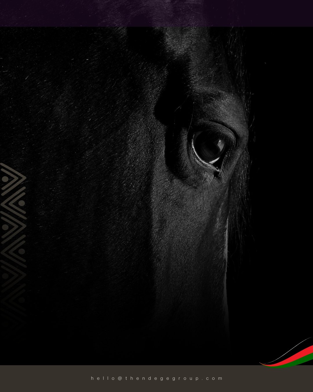 An iconic JV with @thendegefoundation in the making, &lsquo;Ang&rsquo;wen, The Manor&rsquo; is #TheNdegeGroup&rsquo;s ultra-luxe, owner-operated, wildlife and equestrian estate, designed for discerning dignitaries and VVIPs in need of extreme exclusi