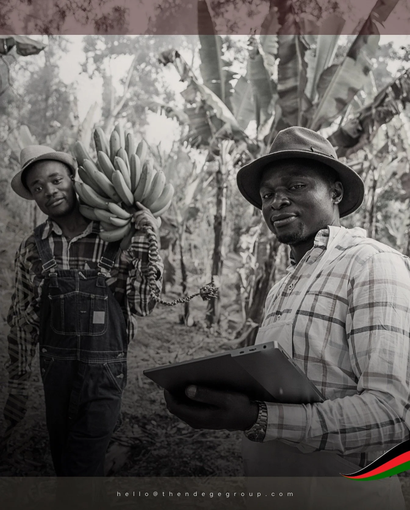 Our ongoing M&amp;A of farms and mines employs an Internet-of-Things approach to optimisation. Using #OmniGaza to monitor supply-chain health, @TheNdegeGroup makes data-driven decisions at unprecedented continental scale. From harvest to market&mdash