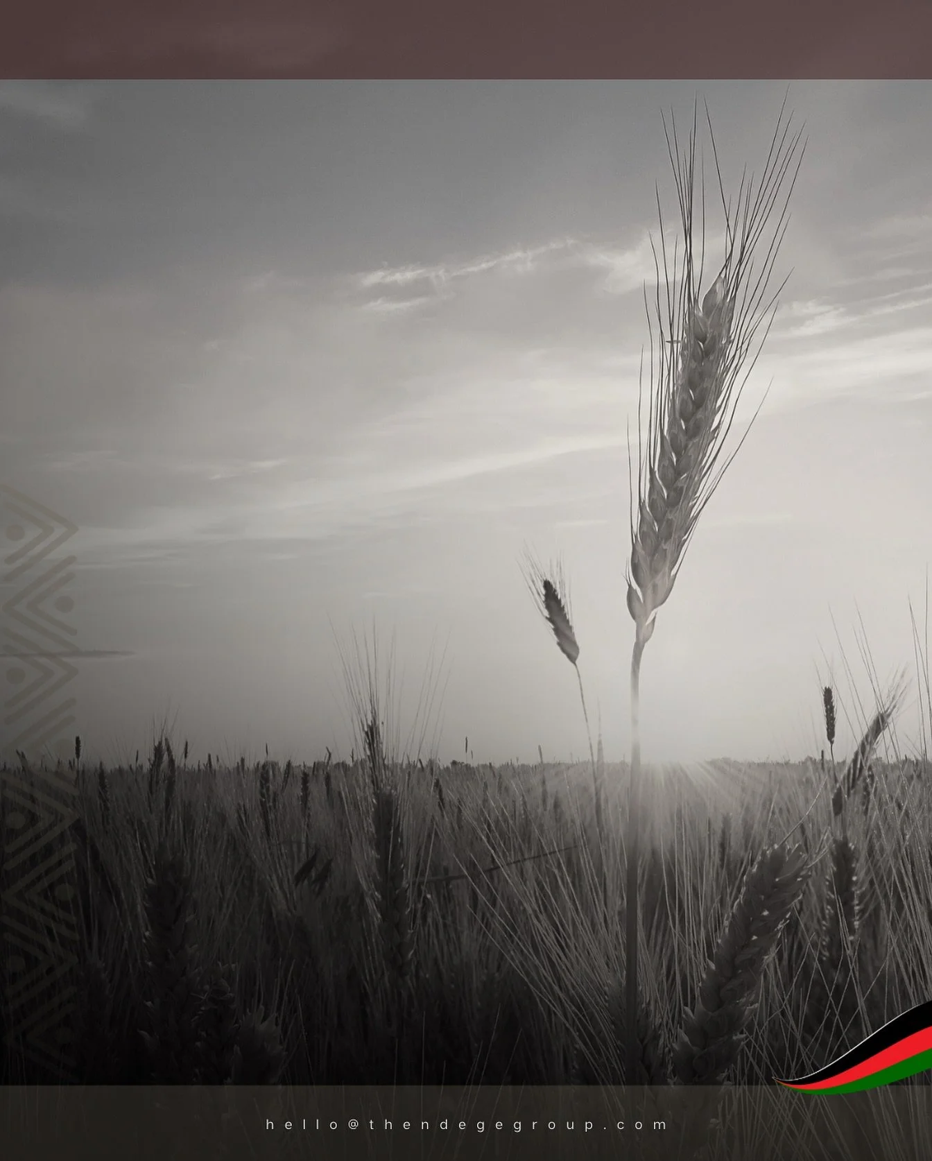 #OmniGaza&rsquo;s performance guarantees pedigree in African trade, logistics, and security sectors. Its integrated blockchain security and near-real-time deep analytics translate into powerful supply-chain provenance and profit for users. Precision,