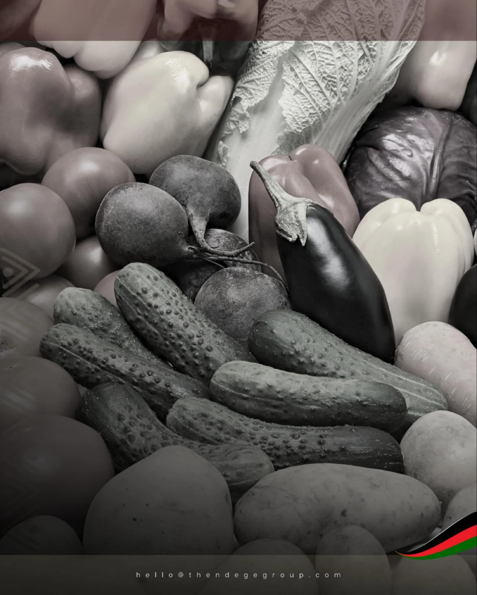 Agricultural sovereignty begins at the seed. #NdegeMarketPlace connects African producers directly to continental and diaspora markets: organic vegetables, heritage grains, indigenous cultivars. Blockchain verification ensures provenance. Every trans