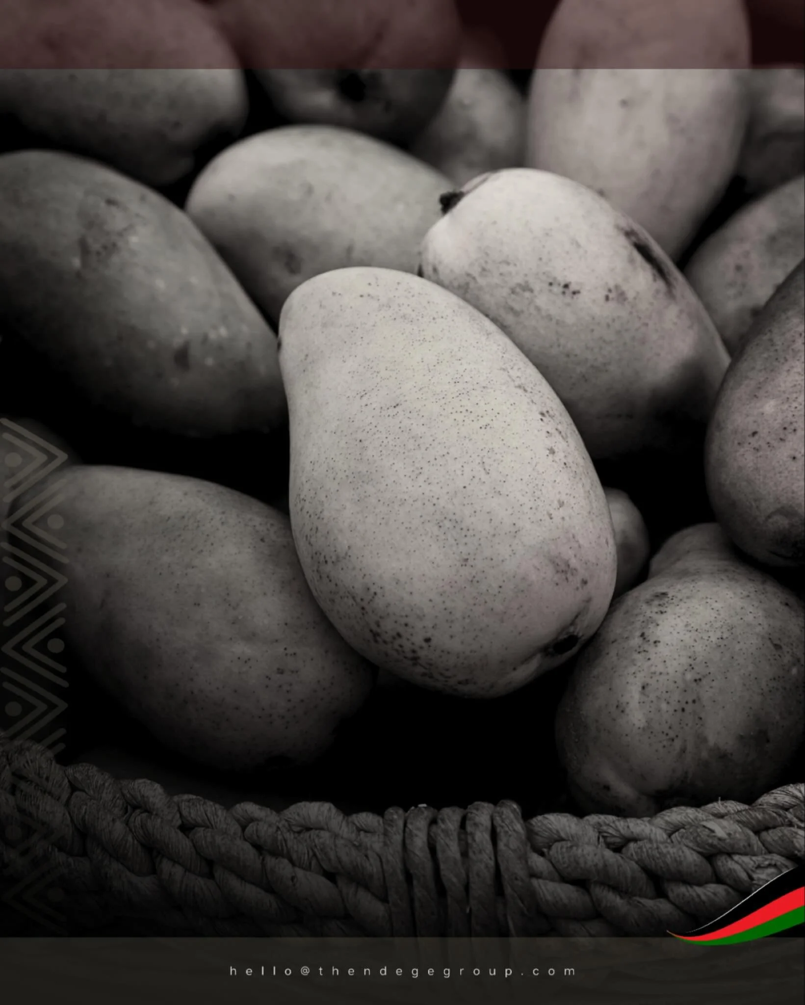 Africa produces mangoes across millions of smallholdings. #OmniGaza&reg;&rsquo;s blockchain commerce infrastructure connects producers to verified markets, eliminating intermediary extraction. #NdegeMarketPlace under development for transparent speci